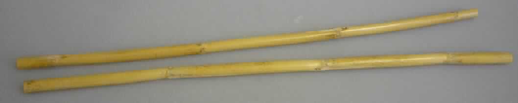 Canna Stem
- ca. 40 cm langer, lediglicher getrockneter Stiel eines Riesenschilfs (Arundo Donax lt. Antrag),
- zu Binde und Zierzwecken geeignet,
- wird üblicherweise im Blumenhandel angeboten.
(Abbildung siehe Anlage)

"Andere Pflanzenteile, ohne Blüten und Blütenknospen, keine Moose und Flechten, nur getrocknet; Canna Stem"