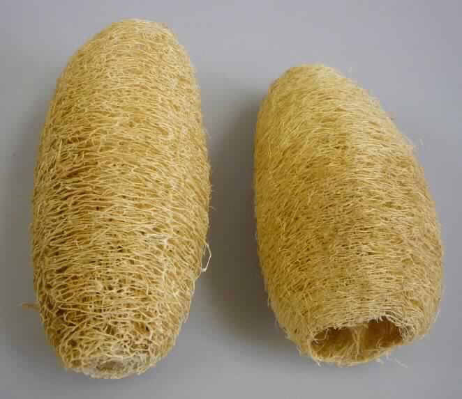 Nach den Angaben der Antragstellerin und der vorliegenden Warenprobe handelt es sich um ca. 14 cm großes, annähernd zylindrisches, lediglich getrocknetes Gefäßbündelnetz aus Luffa (Luffa cylindrica).

Zolltarifrechtlich handelt es sich um ein "pflanzliches Erzeugnis, anderweit weder genannt noch inbegriffen, anderes als Baumwoll-Linters".
