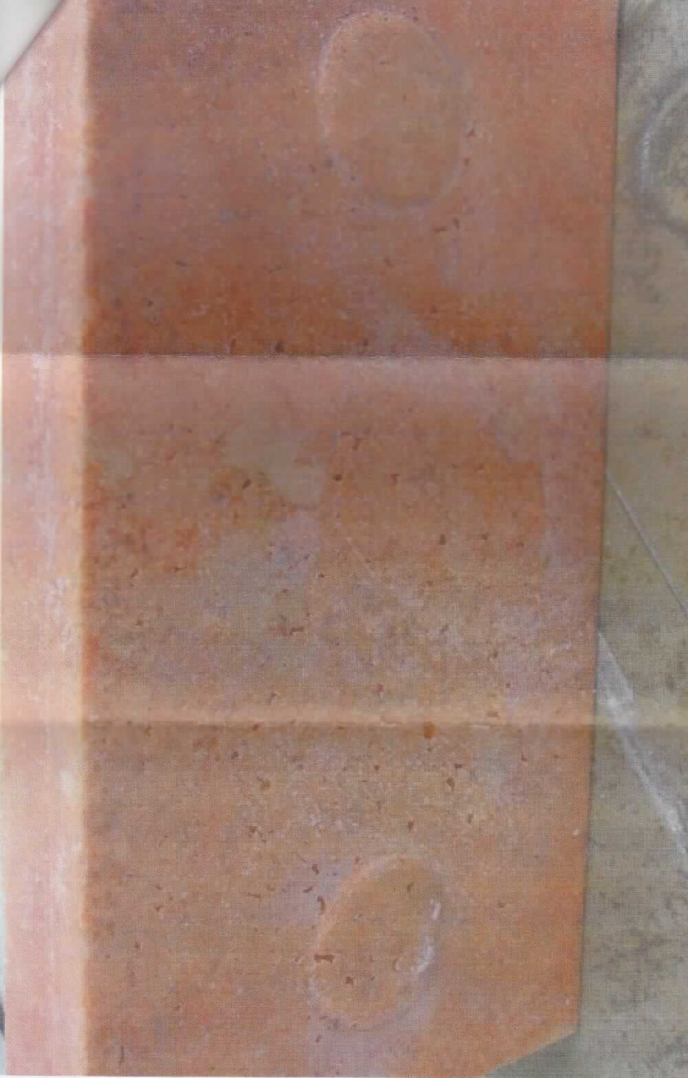 Nach den Angaben der Antragstellerin und der vorliegenden Produktspezifikation handelt es sich bei dem als Wildlachsmus bezeichneten Erzeugnis um gefrorene Verarbeitungsblöcke von ca. 7,484 kg aus zerkleinertem Fischfleisch von Fischen der Art Oncorhynchus gorbuscha (Pazifischer Lachs).

Zolltarifrechtlich handelt es sich um gefrorenes Fischfleisch (keine Fischfilet) von Süßwasserfischen der Art Oncorhynchus gorbuscha (Pazifischer Lachs).