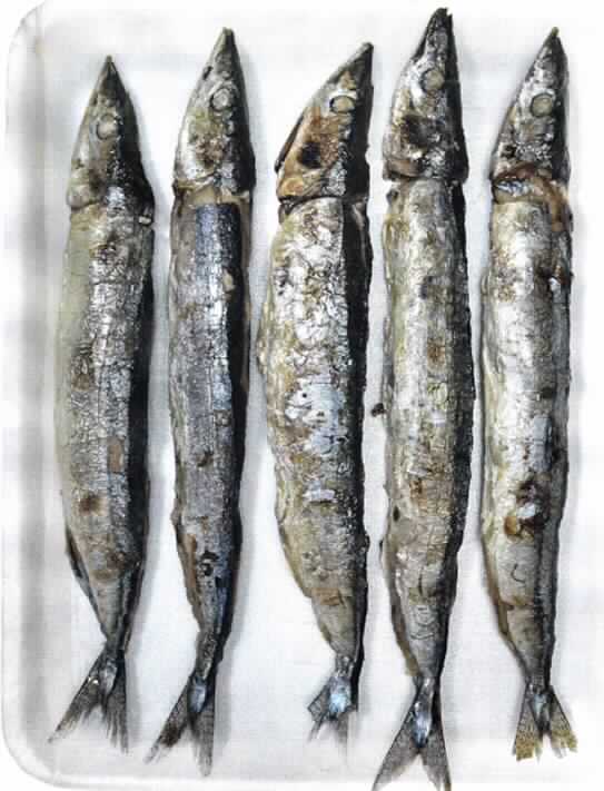 Nach den Angaben der Antragstellerin handelt es sich um gegrillte, tiefgefrorene Fischstücke in Form der linken und rechten Hälfte von Fischen der Art Cololabis saira (ohne Kopf, Eingeweide sowie Flossen und ohne Gräten), die durch die Bauchhaut miteinander verbunden sind (zolltarifrechtlich kein Fischfilet). Die Fische werden zur Herstellung von Sushi verwendet.
Jeweils 5 Fische sind in Kunststofffolie (Inhalt ca. 300 g) luftdicht verschlossen aufgemacht.

Zolltarifrechtlich handelt es sich um "Zubereitete Fischstücke (kein Filet) von Fischen der Art Cololabis saira (Pazifischer Makrelenhecht), jedoch nicht fein zerkleinert".