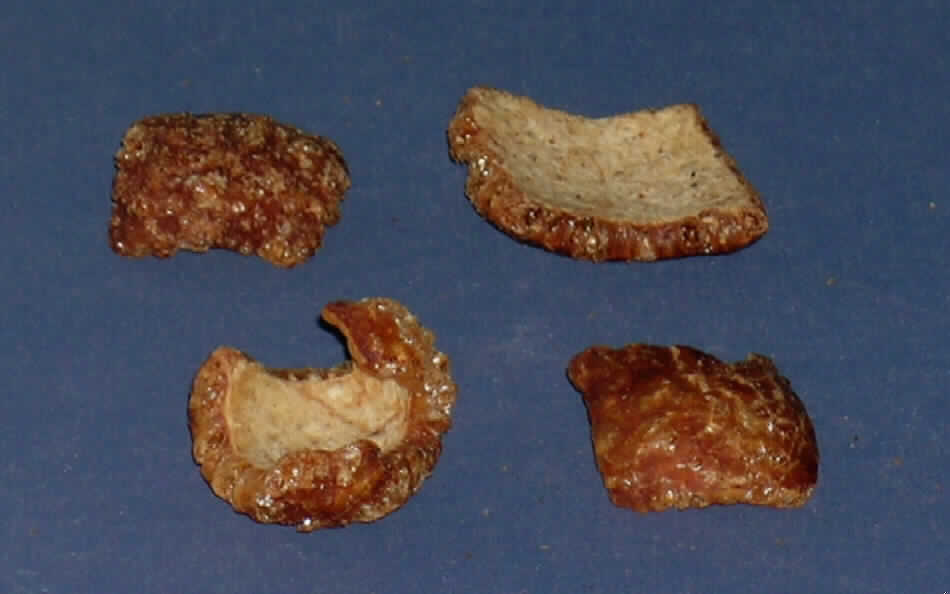 Schwartenchips für Hunde.

Antragsangaben (als zutreffend unterstellt): Schwartenchips als Snacks für Hunde in Bulk-Säcken, nicht in Aufmachung für den Einzelverkauf. Hergestellt aus frischer Schweineschwarte durch Schneiden und Trocknen bei 120 °C für 15 Minuten, nicht für die menschliche Ernährung geeignet.

Beschaffenheit des vorgelegten Warenmusters: auf der Oberseite dunkelbraune, auf der Unterseite hellbraune, ca. 3 x 3 x 0,5 cm große, unregelmäßig geformte und gebogene, leichte, fettige, harte, augenscheinlich durch Hitze vollständig knusprig gewordene Schweineschwartenstücke.

Die Schweinescharte hat durch die thermische Verarbeitung ihre wesentlichen Merkmale verloren.

Zubereitung von der zur Fütterung verwendeten Art, nicht in Aufmachung für den Einzelverkauf, andere.