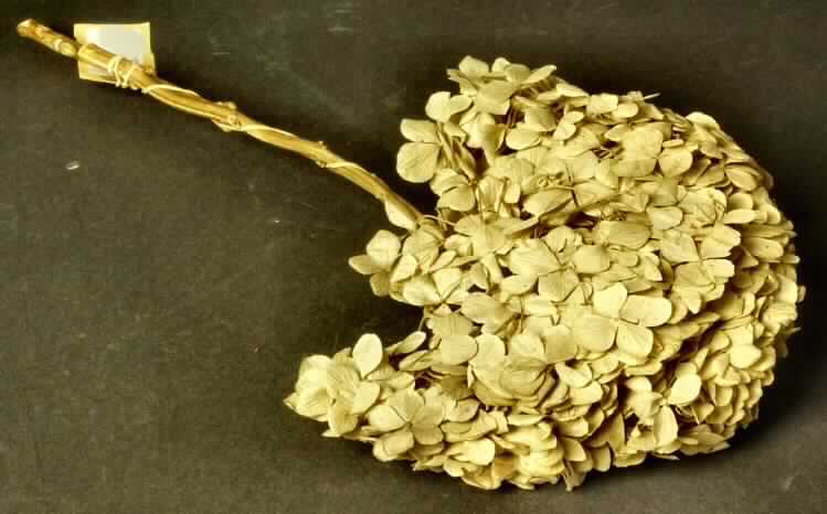 Getrocknete Blütenstände von Hydrangea macrophylla

Ein Warenmuster lag vor.

Verholzte, getrocknete und bestielte, beigefarbene Blütenstände von Hydrangea macrophylla; 
Länge insgesamt ca. 30 cm.

Getrocknete Blütenstände von Hydrangea macrophylla werden üblicherweise vom Blumenhandel zu Zierzwecken geliefert.

Blütenstände von Hydrangea macrophylla, geschnitten, zu Binde- und Zierzwecken, getrocknet