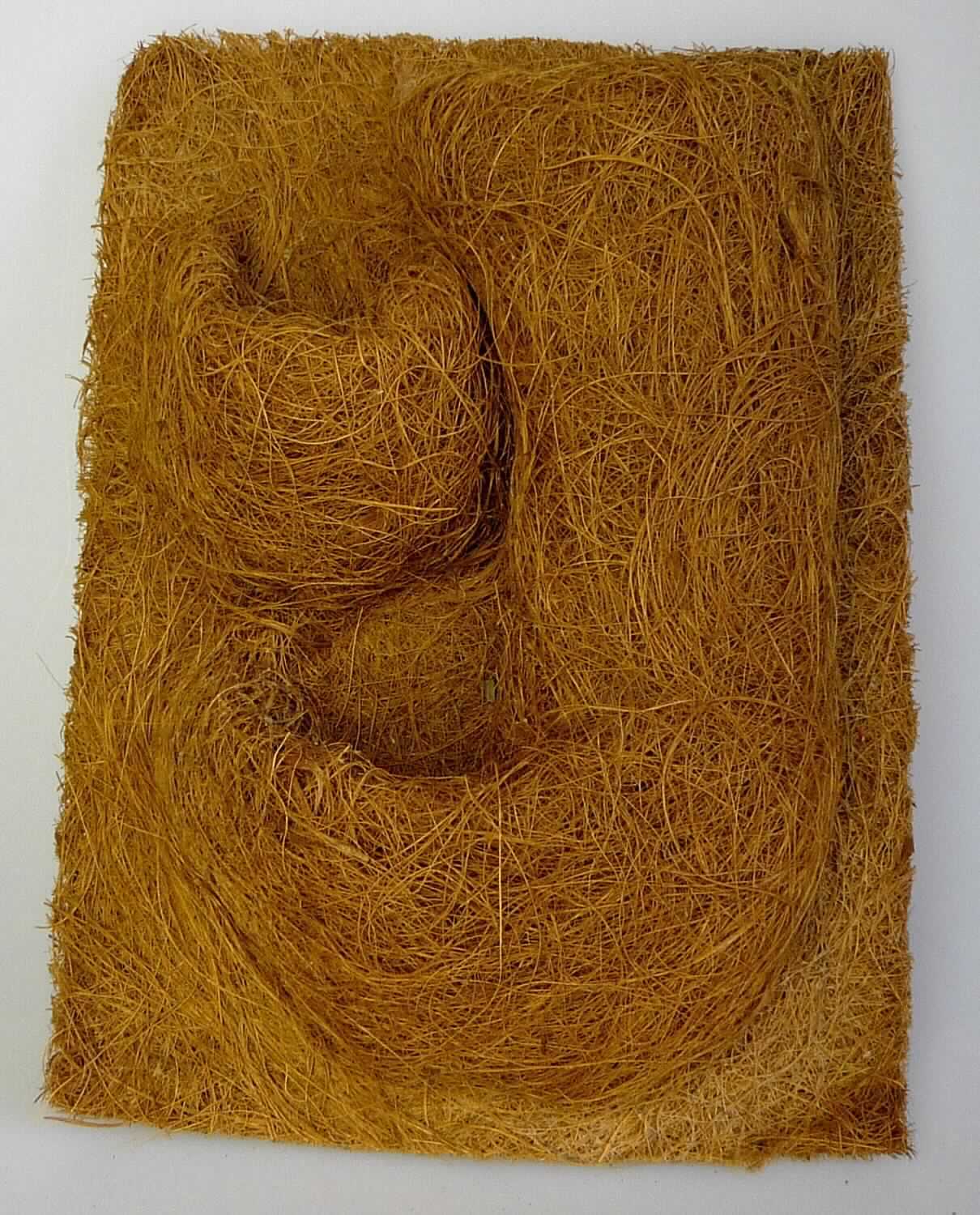 Terrarien-Rückwand, sog. Kokosfaser Background mit Pflanzmulden, Foto siehe Anlage,
- in Form einer quadratischen Platte, lt. Antrag in den Abmessungen von 20 cm x 30 cm,
- lt. Untersuchungsergebnis aus einem Nadelfilz aus laut Antrag Kokosfasern (Spinnstoff der Position 5305); 
  auf der Oberfläche mit Kautschuk bestrichen,
- mit drei aufgebrachten, sog. Pflanzmulden, aus dem gleichen Material wie die Platte,
- durch Zusammenfügen konfektioniert,
- dient laut Antrag als dekorative Rückwand in Terrarien.

"Andere konfektionierte Ware aus Spinnstoff (Terrarien-Rückwand), aus Filz"