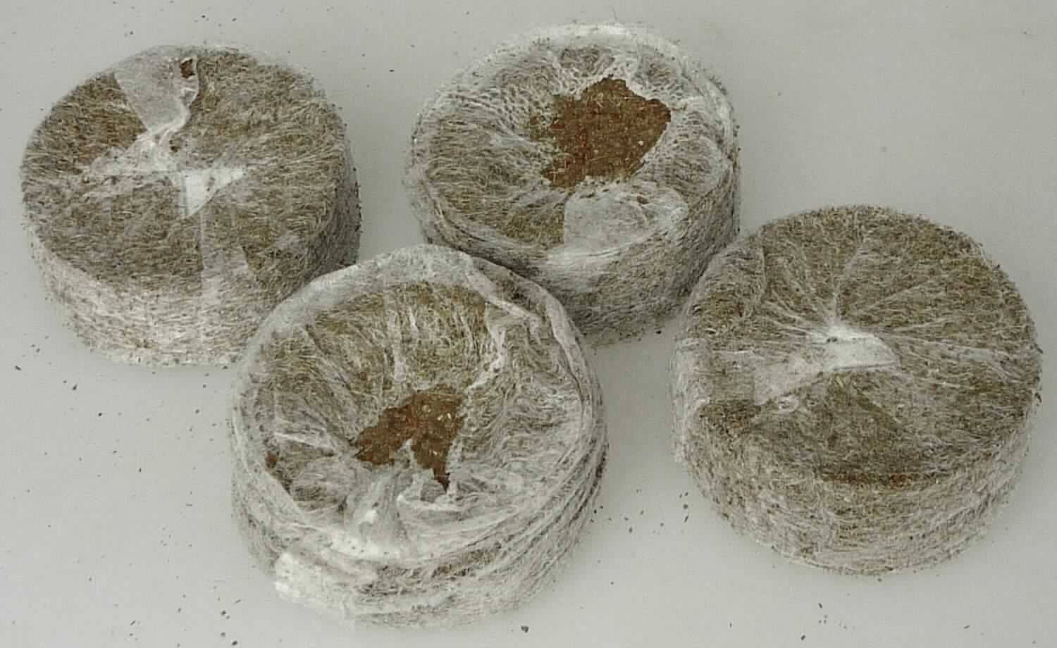 Nach den Angaben der Antragstellerin und dem vorgelegten Warenmuster handelt es sich um runde Kokosquelltabletten (Durchmesser 3,5 cm / Dicke ca. 1,5 cm), die aus verpressten, zerkleinerten Material aus der äußeren Kokosnussfruchthülle bestehen.
Die nicht aufgedüngten Quelltabletten sind umhüllt mit einem einfachen Zuschnitt aus Vliesstoff.
Derartige Erzeugnisse dienen als Nährboden zum Anziehen von Pflanzen.

Zolltarifrechtlich handelt es sich um pflanzliche Erzeugnisse, anderweit weder genannt noch inbegriffen, andere als in den Codenummern 1404 2000 00 0 bis 1404 9000 10 0 genannt.