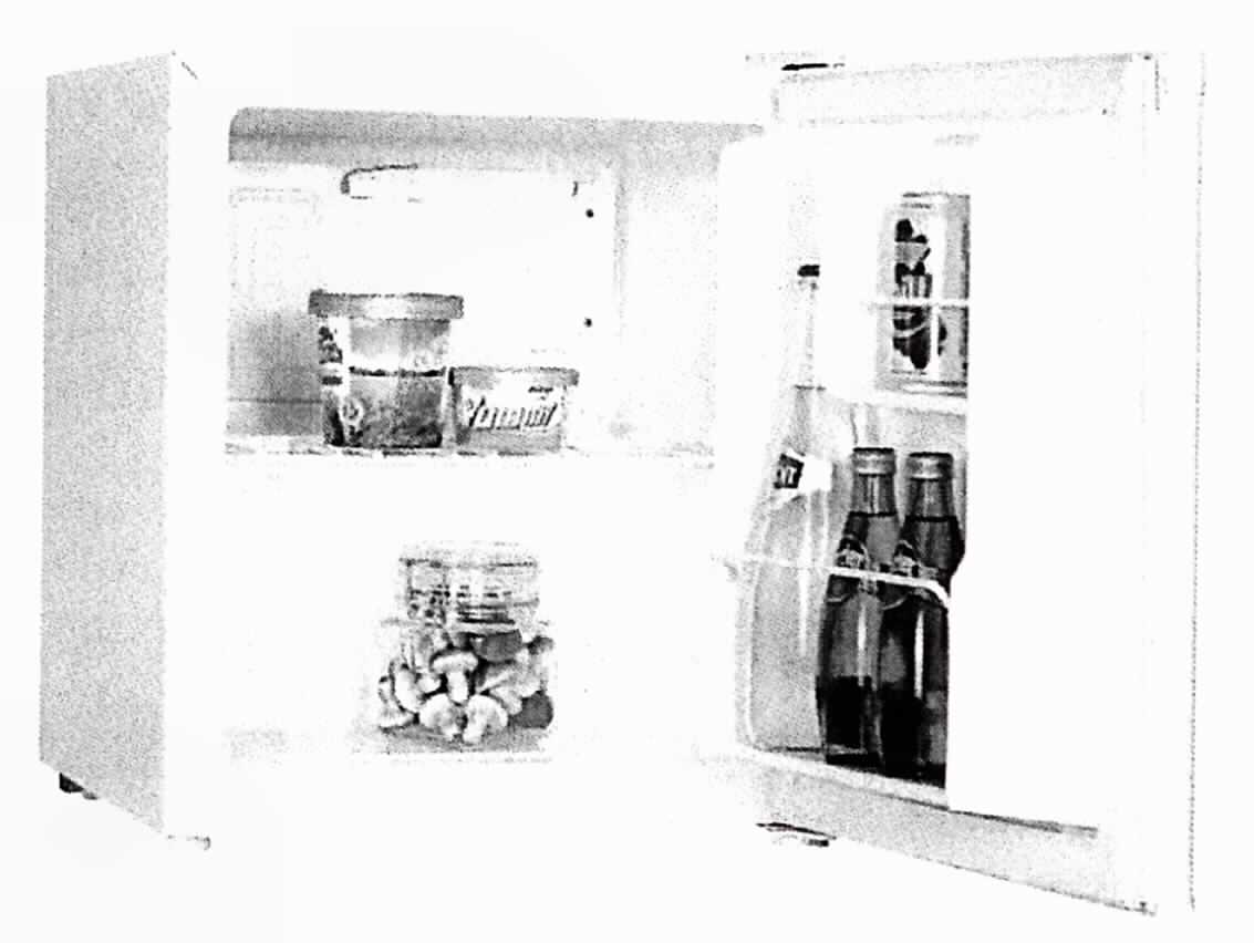 Kühlbox 
- aus Kompressions-Kälteaggregat, zwei Türabstellern und einem Einlegeboden, in
  einem Schrankgehäuse (Abmessungen H x B x T: 51 x 44 x 47 cm) mit Fronttür
  (Abbildung siehe Anlage),
- mit einem Netto-Fassungsvermögen von 41 l,
- zum Kühlen und Kühlhalten von Kühlgut im Haushalt.

"Kühlschrank, Haushaltskühlschrank, Kompressorkühlschrank, mit einem Inhalt von weniger als 340 l, Tischkühlschrank - Kühlbox"