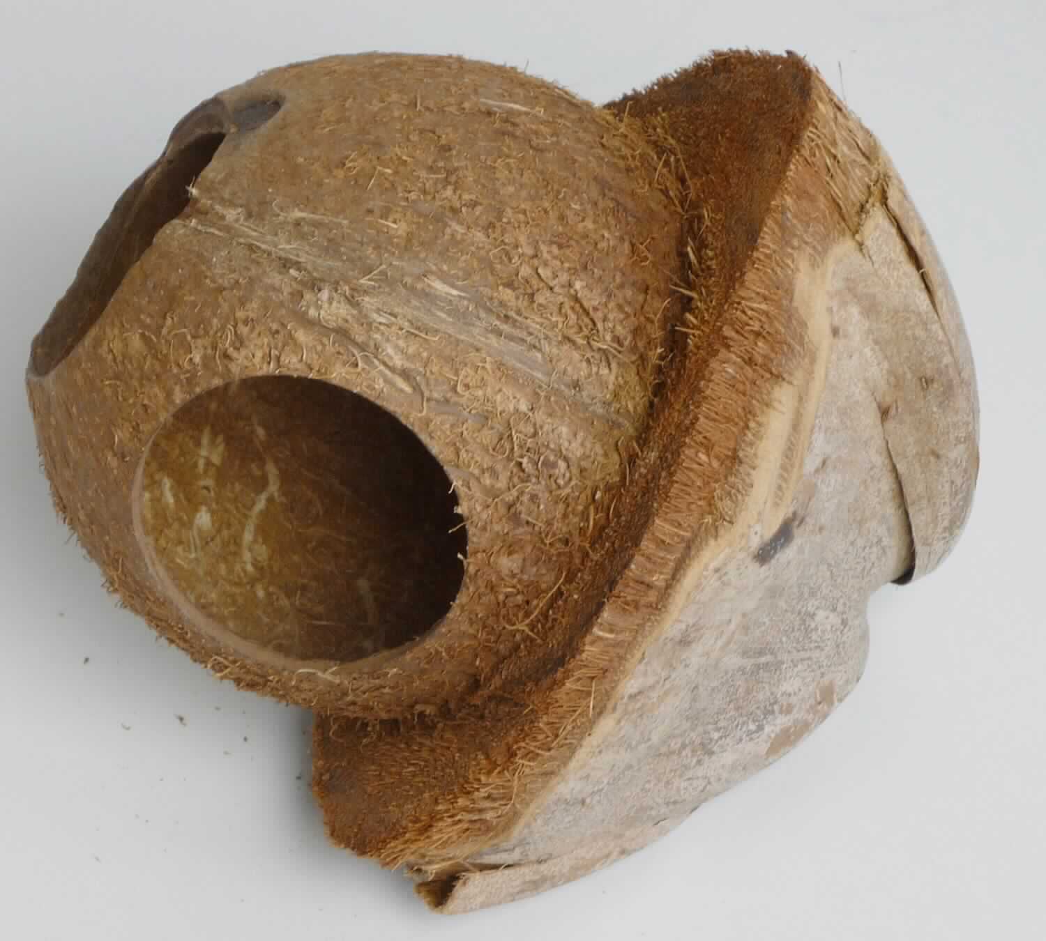 Bei der Ware "Vogelhaus aus Kokosnuss" handelt es sich um ein aus den Schalen von Koksnüssen (ohne Fruchtfleisch und Fasern) handgefertigtes Erzeugnis in Form eines Vogelhäuschens. 
In den aus einer Kokosnuss bestehenden Grundkörper sind zwei kreisrunde Aussparungen eingearbeitet, die als Einflug für Vögel dienen, bzw. um ein Hinstellen zu ermöglichen. Eine Aufgesetzte Kokosnussschale stellt ein Dach dar. Das Erzeugnis hat einen Durchmesser von ca. 12 cm. 

Das Erzeugnis ist als "Ware aus pflanzlichen Schnitzstoffen, handgearbeitet" einzureihen.