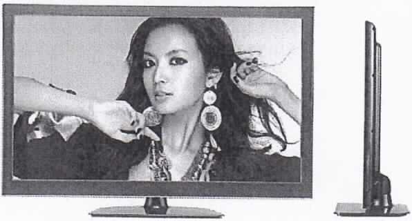 LCD-Farbfernsehempfangsgerät
- aus Tuner, Audio- und Videosignalelektronik mit MPEG-Decoder und 
  D/A-Wandler, Tonfrequenzverstärker, Lautsprecher und 21,5 Zoll LCD-Farbbild-
  schirm in einem Gehäuse (Abmessungen: 523,5 x 175 x 379 mm) mit Bedienelementen, 
  Standfuß, Audio- und Videoanschlüssen, HDMI- und USB-Schnittstellen sowie  einer 
  Infrarot-Fernbedienung,
- zum Empfangen von Fernsehprogrammen und zur Bild- und Tonwiedergabe nach 
  Anschluss von USB-Speichermedien.

"Fernsehempfangsgerät, mit eingebautem Ton- und Bildwiedergabegerät, mit  Videobildschirm, für mehrfarbiges Bild, kein Projektionsfernsehgerät, mit eingebautem Videowiedergabegerät (Fernsehempfangsgerät in funktioneller Einheit mit Infrarot-Fernbedienung)"