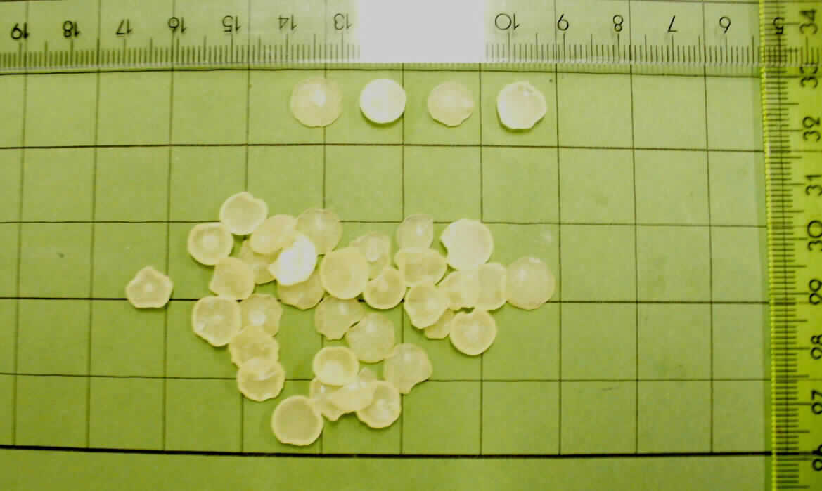 Glycerinester von hydriertem Kolophonium

Angaben:
Das in 25-kg-Säcken gehandelte Erzeugnis ist nach den Angaben ein Glycerolester des hydrierten Kolophoniums, ohne weitere Zusätze. Verwendungszweck laut Sicherheitsdatenblatt: Klebstoff, Lebensmittelzusatzstoff


Feststellungen:
Vorgelegt wurden hellgelbe, spröde Granalien mit schwachem Geruch wie nach Harz von Nadelbäumen

Befund:    
Kolophonium und Harzsäuren, und deren Derivate; ..... / -Harzester
