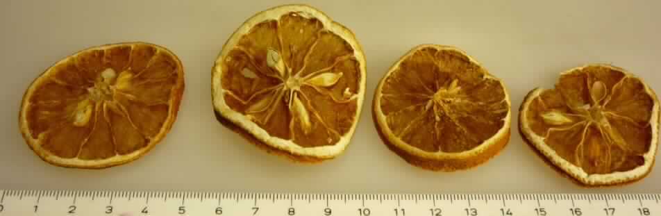 Orangenscheiben, getrocknet (Naturprodukt), Gewürzdeko

Bis zu 3 mm dicke Scheiben von getrockneten Orangen (Fruchtfleisch und Schale), 
mit durch das Trocknen braun gefärbtem Fruchtfleisch; Geruch schwach nach Orange.
Es ergeben sich keine Hinweise, dass die Ware ungenießbar ist.

Zitrusfrüchte (Orangen), getrocknet