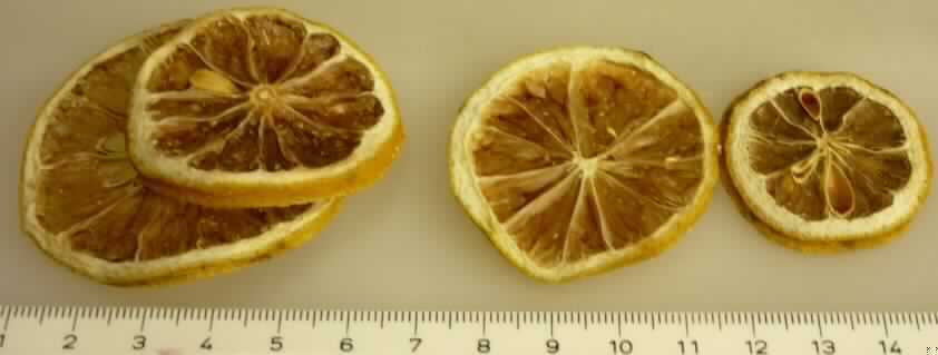 Zitronenscheiben, getrocknet (Naturprodukt), Gewürzdeko

Bis zu 3 mm dicke Scheiben von getrockneten Zitronen (Fruchtfleisch und Schale), 
mit durch das Trocknen braun gefärbtem Fruchtfleisch; Geruch schwach nach Zitrone.
Es ergeben sich keine Hinweise, dass die Ware ungenießbar ist.

Zitrusfrüchte (Zitronen), getrocknet