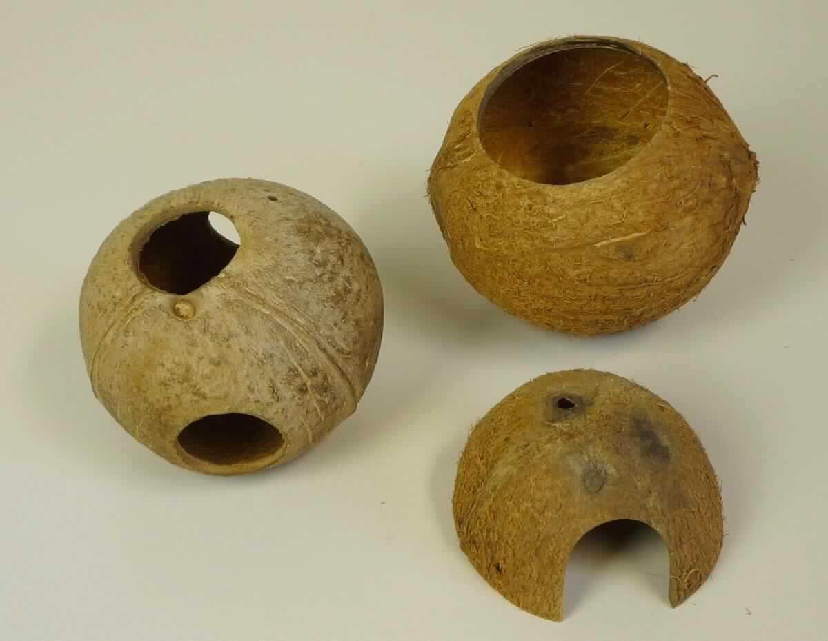Bei der Ware mit der Bezeichnung "KOKSHÖHLE" handelt es sich um aus Kokosnüssen handgearbeitete Erzeugnisse (ohne Fruchthülle und Fruchtfleisch). 

Die Ware kann in verschiedenen Formen und Größen vorkommen, z.B.:
-	annähernd halbiert mit tunnelartiger Öffnung
-	kreisrunde Öffnung am Boden, um ein Hinstellen zu ermöglichen 
-	kreisrunde Öffnung am Boden und weitere Bohnrungen als Öffnungen
Die Erzeugnisse sind je nach Kokosnuss unterschiedlich groß; Durchmesser 9 cm - 14 cm, Öffnungen 3 cm - 7 cm. 

Der Artikel wird als Versteck und Unterschlupf für Tiere in Terrarien eingesetzt. 

Das Erzeugnis ist als "Ware aus pflanzlichen Schnitzstoffen, handgearbeitet", einzureihen.