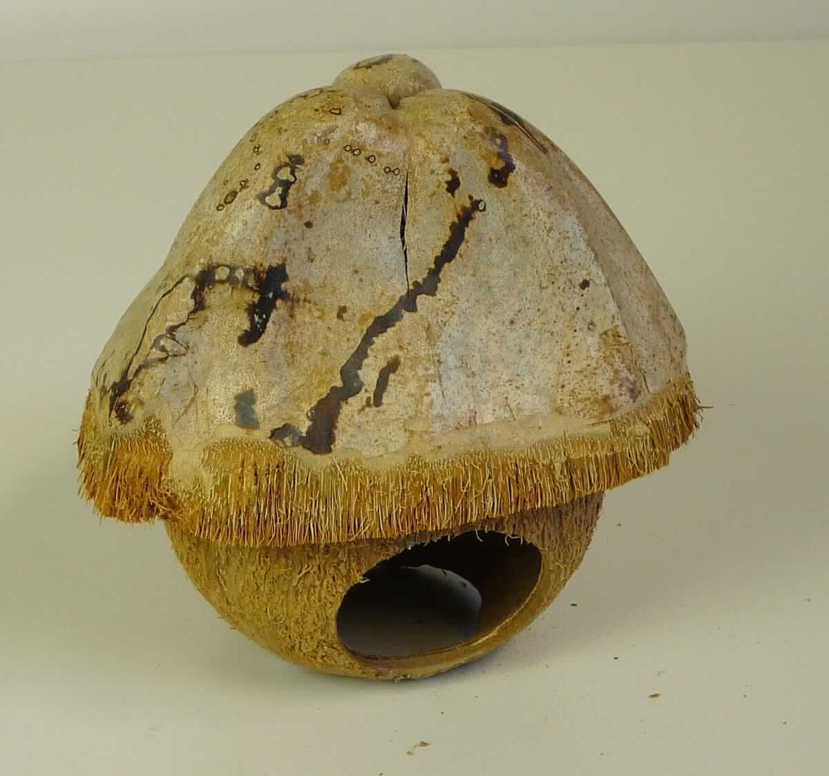 Bei der Ware "Kokos Reptilienhöhle / Reptiliengrotte" handelt es sich um ein aus der Schale und Fruchthülle einer Kokosnuss (ohne Fruchtfleisch und Fasern) handgefertigtes Erzeugnis in Form eines Häuschens.

In den aus einer Kokosnuss bestehenden Grundkörper sind zwei kreisrunde Aussparungen eingearbeitet, die als Eingang für Tiere dienen, bzw. um ein Hinstellen zu ermöglichen. Eine aufgesetzte Kokosnussschale stellt ein Dach dar. Das Erzeugnis hat einen Durchmesser von ca. 12 cm. 
Der Artikel wird als dekoratives Versteck oder Rückzugsmöglichkeit für Tiere, wie z.B. Nager oder Reptilien eingesetzt.

Das Erzeugnis ist als "Ware aus pflanzlichen Schnitzstoffen, handgearbeitet" einzureihen.
