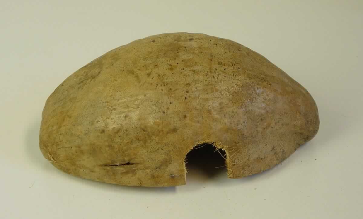 Bei der Ware mit der Bezeichnung "Reptilienhöhle / Nagerhöhle 1/2 Kokosnuss mit Husk" handelt es sich um ein aus einer annähernd halbierten Kokosnuss (Fruchthülle mit Schale) handgearbeitetes Erzeugnis; Durchmesser ca. 20 cm. 
Seitlich befindet sich eine eingearbeitete ca. 3 cm große tunnelartige Öffnung, die als Eingang dient. 
Die Kokosnusshälfte wird als Dekoration und Unterschlupf für Tiere, wie z.B. Reptilien oder Nager in einem Terrarium verwendet.

Die Ware ist ggf. in Folie eingeschweißt oder mit einem Anhängeetikett versehen.

Das Erzeugnis ist als "Ware aus pflanzlichen Schnitzstoffen, handgearbeitet", einzureihen.