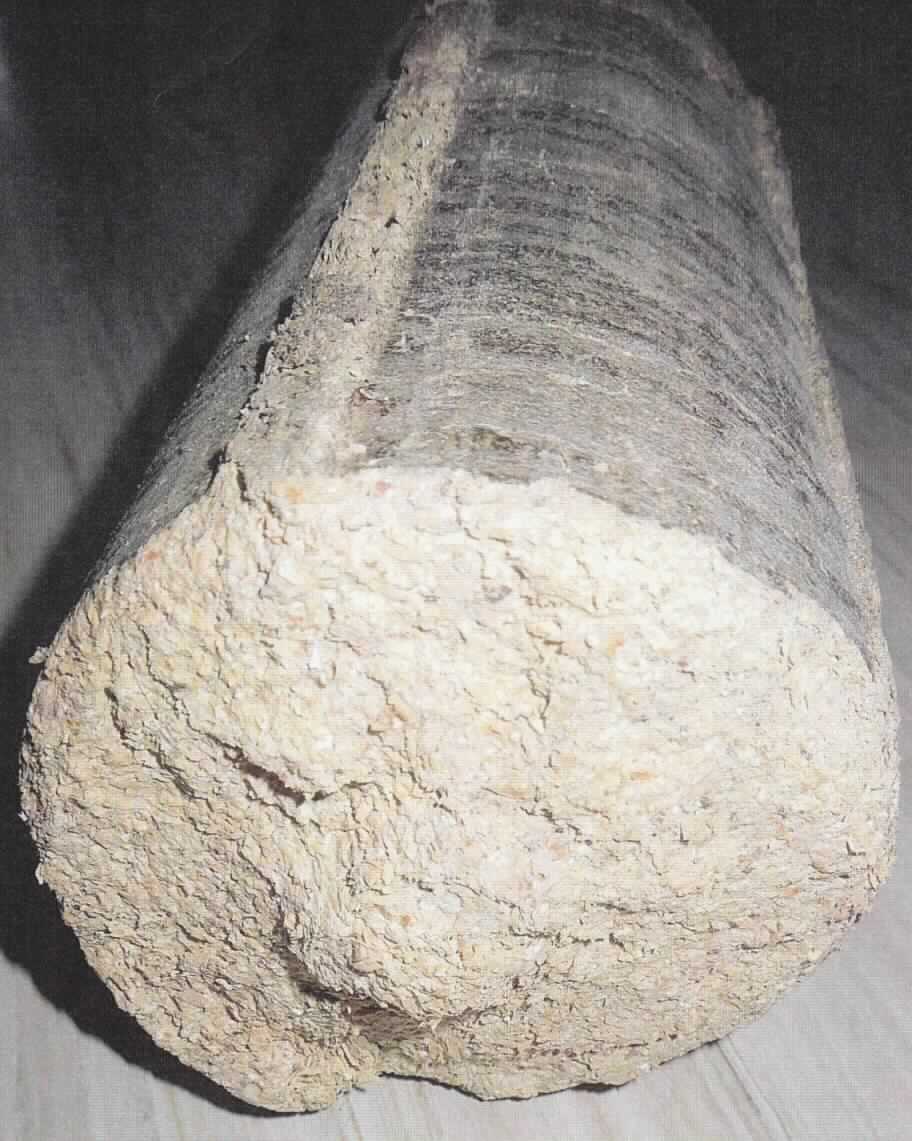 Nach den Antragsangaben handelt es sich um gepresste Reis-Hülsen (sogenannte Rice husks), ohne zusätzliche Bindemittel, in Form von Pellets oder Briketts. 

Zolltarifrechtlich handelt es sich um Spreu von Getreide, gepresst, in Form von Pellets, andere als Stroh, hier Reis-Hülsen.