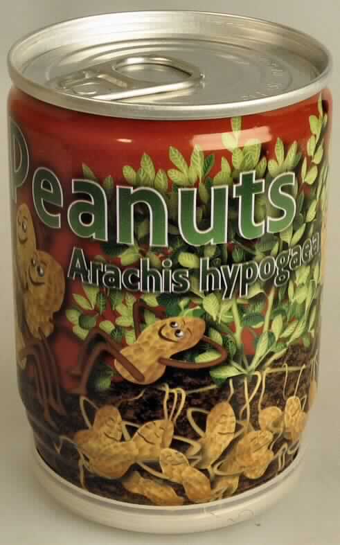Nach den Angaben der Antragstellerin und der vorgelegten Warenprobe handelt es sich um eine Warenzusammenstellung in Aufmachung für den Einzelverkauf, sog. "Peanut aus der Dose". 

Die Ware besteht aus einer bedruckten Blechdose (Höhe ca. 9,2 cm; Durchmesser ca. 6,4 cm) mit einem Deckel mit Lasche und einer trinkdosenähnlichen Einwegöffnung am Dosenboden, einer Pflanzanleitung, einem Kunststoffdeckel als Untersetzer, granuliertem Füllmaterial sowie Samen der Erdnuss (lt. Dosenaufdruck Arachis hypogaea), die sich im Füllmaterial befinden.

Nach dem Öffnen des Deckels soll die Dose bewässert werden, wobei die Öffnung am Dosenboden als Abfluss dient. Durch regelmäßiges Gießen und Lichteinfall sollen die Samen keimen und die Pflanze wachsen.

In Hinblick auf die Verwendung (Pflanzenaufzucht) bestimmen die Erdnusssamen den Charakter der Warenzusammenstellung.

Zolltarifrechtlich handelt es sich um "Erdnusssamen, zur Aussaat bestimmt".