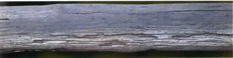 Baumstämme aus Teakholz
- gebrauchtes, älteres, hauptsächlich aus gereinigtem Bauholz bestehendes Rohholz in Form 
  von zylindrischen, geradfasrigen Stämmen aus Teakholz (lt. Antragsteller), 
- unbehandelt (keine Lacke, keine Imprägnierungen etc.), 
- kein Befall von Würmern, Pilzen, Parasiten o. ä., 
- auch mit Nagelresten,
- Durchmesser ca. 40 cm, Länge ca. 3,0 - 3,2 m.
(Abbildung s. Anlage)

"Rohholz ohne Farbe, Beize, Kreosot oder anderen Konservierungsmitteln behandelt, kein Nadelholz,
 tropisches Holz, Teakholz"