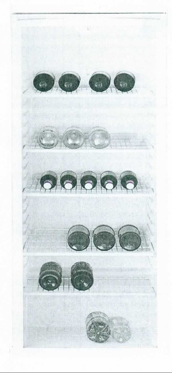 Schaukühlmöbel,
- aus einem Standgerät (Abmessungen H x B x T: 1402 x 545 x 570 mm; Nutzinhalt: 244 l) mit 
  Kompressor-Funktion, Fronttüre aus Isolierglas, verstellbaren Gitterablagen sowie 
  Innenraumbeleuchtung (Abbildung siehe Anlage),
- zur Kühlung und gleichzeitigen Präsentation von Verkaufsprodukten (Getränke in Flaschen).

"Apparat zur Kälteerzeugung, Schaukühlmöbel mit eingebautem Verdampfer, nicht für tiefgekühlte Waren - Schaukühlmöbel"