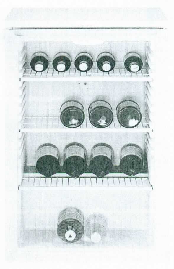 Schaukühlmöbel,
- aus einem Standgerät (Abmessungen H x B x T: 845 x 505 x 534 mm, Nutzinhalt: 110 l) mit 
  Kompressor-Funktion, Fronttüre aus Isolierglas, verstellbaren Gitterablagen sowie 
  Innenraumbeleuchtung (Abbildung siehe Anlage),
- zur Kühlung und gleichzeitigen Präsentation von Verkaufsprodukten (Getränke in Flaschen).

"Apparat zur Kälteerzeugung, Schaukühlmöbel mit eingebautem Verdampfer, nicht für tiefgekühlte Waren - Schaukühlmöbel"