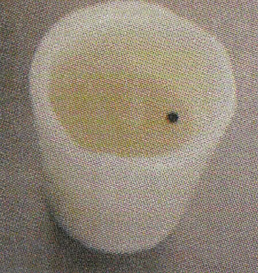 Bei der sog. "LED-Kerze, Art. 217.400, 217.401 und 217.402" handelt es sich um drei ca. 7, 10 und 14 cm hohe und im Durchmesser 5,5 bzw. 7,5 cm große, zusammengesetzte Waren, jeweils im Wesentlichen bestehend aus einem zylindrischen, cremefarbenen Wachskörper und einem Beleuchtungskörper, aus einer im oberen Drittel unter einer Flammenimitation eingesetzten, batteriebetriebenen Leuchtdiode, mit Batteriefach mit An-/Ausschalter im Boden des Wachskörpers sowie einem Sensorschalter, der auf Pusten reagiert.
Hinweise auf eine Handfertigung liegen nicht vor.
Zusammengesetzt stellen die Waren jeweils einen Ziergegenstand dar, dessen dekorative Wirkung durch das Licht der Leuchtdiode, welches den Wachskörper von innen erhellt, erhöht wird.
Der Wachskörper ist hinsichtlich des Umfangs und der Bedeutung für die Verwendung charakterbestimmend.
Jedes Produkt ist einzeln in einem bedruckten Pappkarton verpackt.
Die beschriebenen Waren sind als "geformte Ware aus Wachs, anderweit weder genannt noch inbegriffen, nicht handgearbeitet" einzureihen.