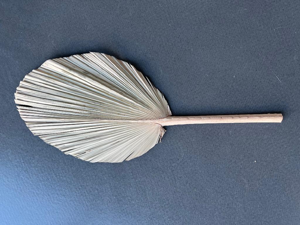 Palmblatt, Art.-Nr.: 66504/444 (Abbildungen siehe Anlage)
- ca. 60 - 70 cm langes, getrocknetes und auf der Vorderseite grün gefärbtes
  Palmenblatt der Kalifornischen Washington Palme,
- wird üblicherweise vom Blumenhandel zu Binde- und Zierzwecken geliefert.

"Blätter ohne Blüten und Blütenknospen, zu Binde- oder Zierzwecken, andere
 als Moose und Flechten, nicht nur getrocknet"