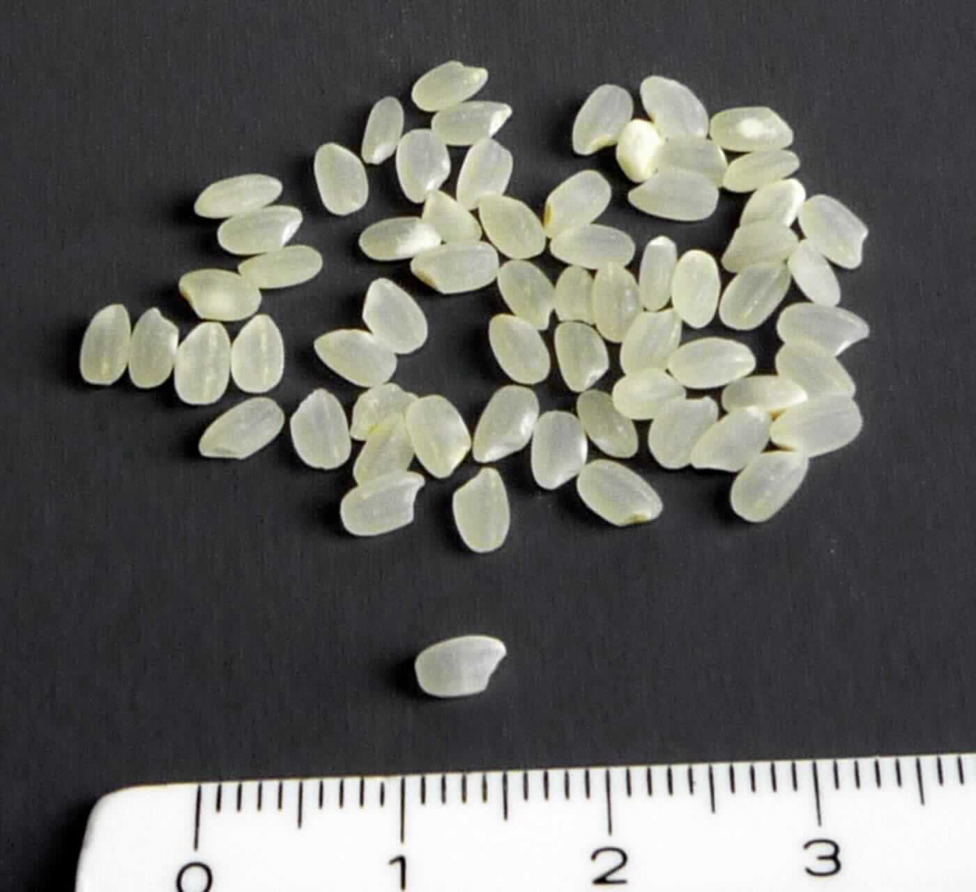Reis

Antragsangaben: Artikel 80009. Sushi Reis "Koshihikari", Rundkornreis, Sorte "Koshihikari". Import in 10 kg Säcken. Herkunft: USA. 

Beschaffenheit des vorgelegten Warenmusters: naturweißer rundkörniger Reis, verpackt in einer klarsichtigen Kunststofftüte. Eine Mischung aus vollständig geschliffenem Reis, nicht parboiled, halb geschliffenem Reis, nicht parboiled, und wenig Bruchreis. Augenscheinlich ist der Reis weder vorgekocht noch gegart, besitzen die Körner eine Länge von 5,2 mm oder weniger und ein Verhältnis der Länge zur Breite weniger als 2. 

Es liegt eine Mischung vor. Der halbgeschliffene rundkörnige Reis bestimmt den Charakter der Ware. 

Halbgeschliffener Reis, auch poliert oder glasiert, anderer als parboiled, rundkörnig, in unmittelbaren Umschließungen mit einem Gewicht des Inhalts von mehr als 5 kg bis 20 kg.