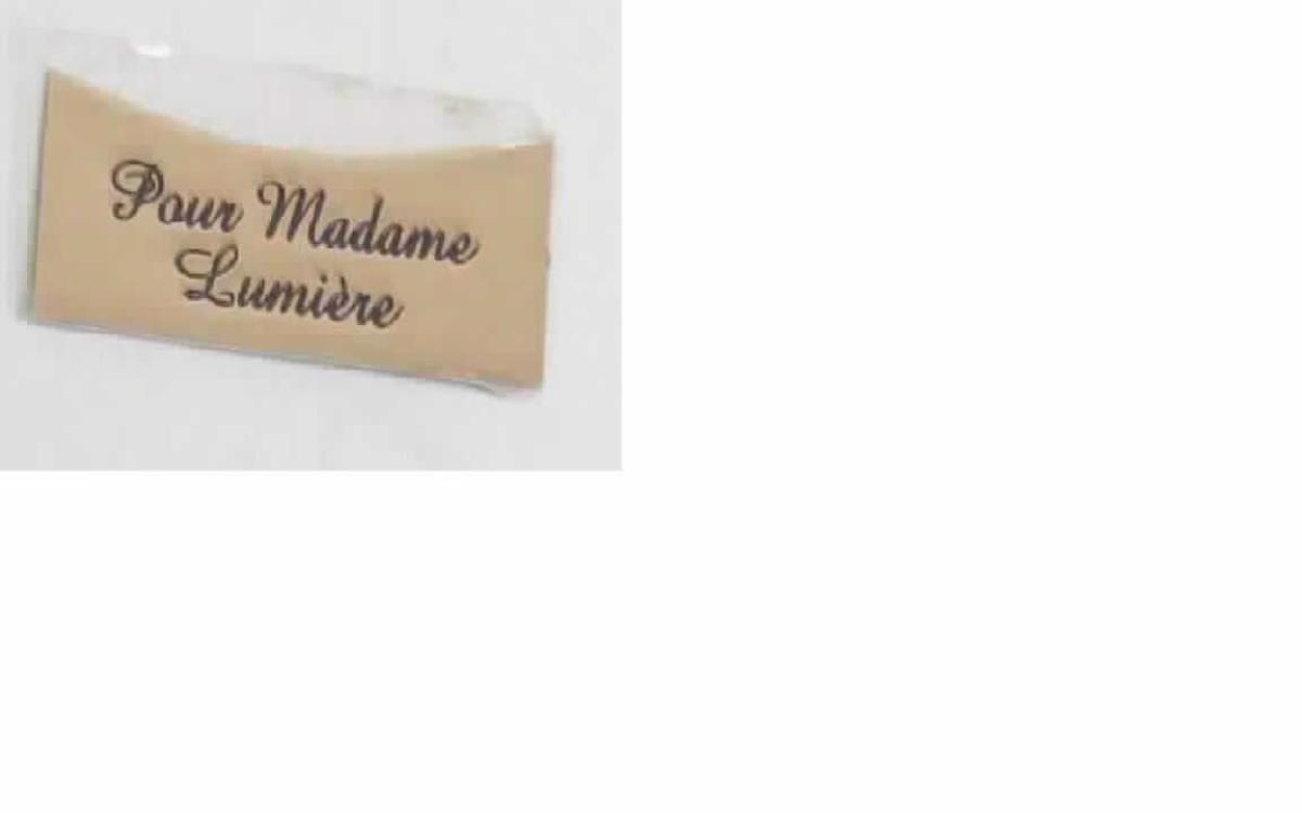 Es handelt sich um flache, rechteckige, selbstklebende Erzeugnisse aus unedlem Metall, die auf der Vorderseite mit einem eingeprägten Schriftzug (Markenname) und auf der Rückseite mit einer abziehbaren Folie versehen sind. Die an der Oberseite mit einer dekorativen halbrunden Aussparung ausgestatteten Erzeugnisse werden auf Parfümflakons geklebt (laut Antragstellerangaben).
Abmessungen: etwa 3,5 cm x 1,4 cm.

Abbildung siehe Anlage.

Derartige Erzeugnisse gehören als "Namensschilder und ähnliche Schilder, aus unedlen Metallen" zum TARIC-Code 8310 0000 00.