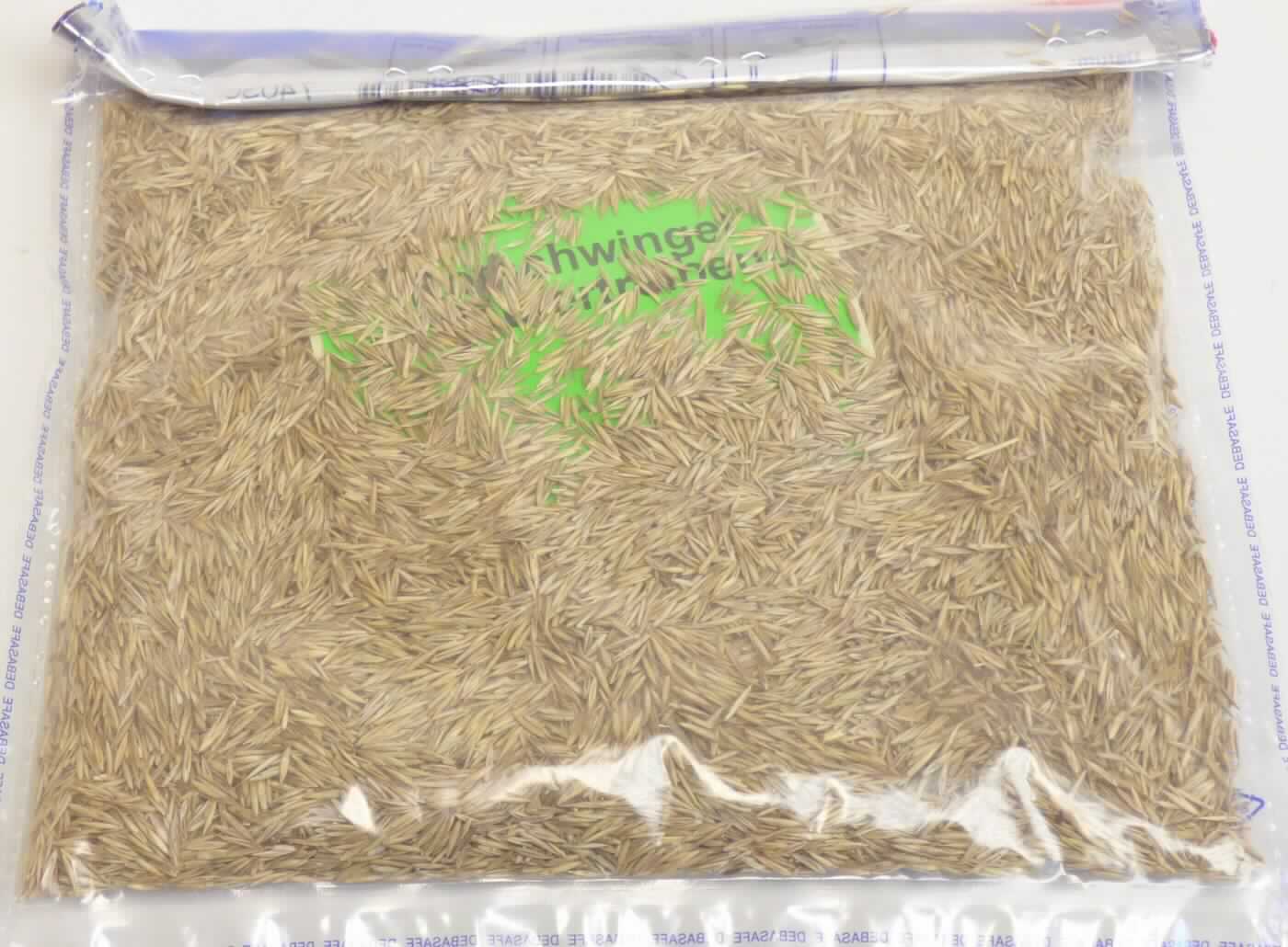Nach den Angaben der Antragstellerin, dem Warenmuster und den ergänzenden Angaben handelt es sich um Gräsersamen von Rotschwingel (Festuca rubra L.), die zur Aussaat bestimmt sind. Derartige Samen werden zolltarifrechtlich als Samen von Futterpflanzen bezeichnet.

Zolltarifrechtlich handelt es sich um "Samen, zur Aussaat, von Futterpflanzen, von Rotschwingel (Festuca rubra L.)".