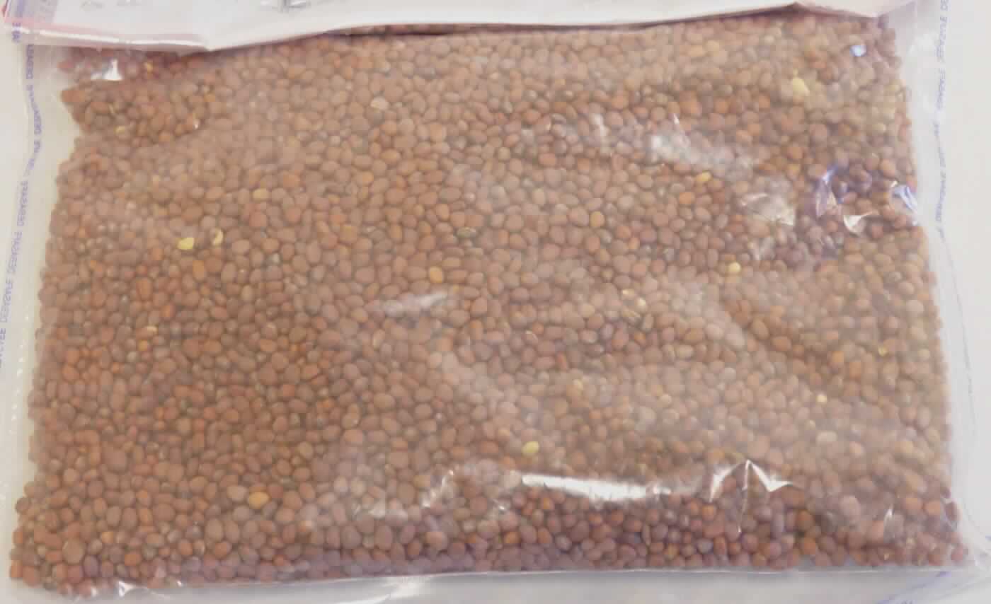 Nach den Angaben der Antragstellerin und dem vorgelegten Warenmuster handelt es sich um Samen von Rettichen der Art Raphanus sativus var. longipinnatus, die zur Aussaat bestimmt sind. Rettiche dieser Varietät werden zolltarifrechtlich als Gemüse vom Kapitel 7 der Kombinierten Nomenklatur erfasst. 

Nach den ergänzenden Angaben der Antragstellerin sind die Samen zur Begrünung als Zwischenfrucht (Melioration) vorgesehen. Eine derartige Verwendung steht der Einreihung als Gemüsesamen nicht entgegen. 

Zolltarifrechtlich handelt es sich um "Samen, zur Aussaat, von Gemüsen, andere als Samen von Roten Rüben (Beta vulgaris var. conditiva)".