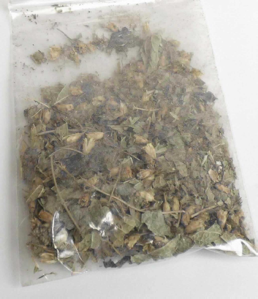 Nach den Angaben der Antragstellerin sowie dem vorliegenden Warenmuster handelt es sich bei dem als sog. "Aztekisches Traumgras oder Bitterkraut" bezeichneten Erzeugnis um getrocknete und zerkleinerte Teile (Blütenstände, Stängel und Blätter) von Pflanzen der Art Calea zacatechichi (Bittergras).

Die Pflanzenteile werden nach den Angaben in der Fachliteratur hauptsächlich zu Zwecken der Medizin und nicht als Haustee (im Sinne von Tee-Ersatz) verwendet.

Das Erzeugnis wird lose in Großgebinden eingeführt.

Zolltarifrechtlich handelt es sich um "Pflanzenteile der hauptsächlich zur Herstellung von Riechmitteln oder zu Zwecken der Medizin, Insektenvertilgung, Schädlingsbekämpfung und dergleichen verwendeten Art, getrocknet, andere als in den Codenummern 1211 2000 00 0 bis 1211 9086 90 8 genannt".