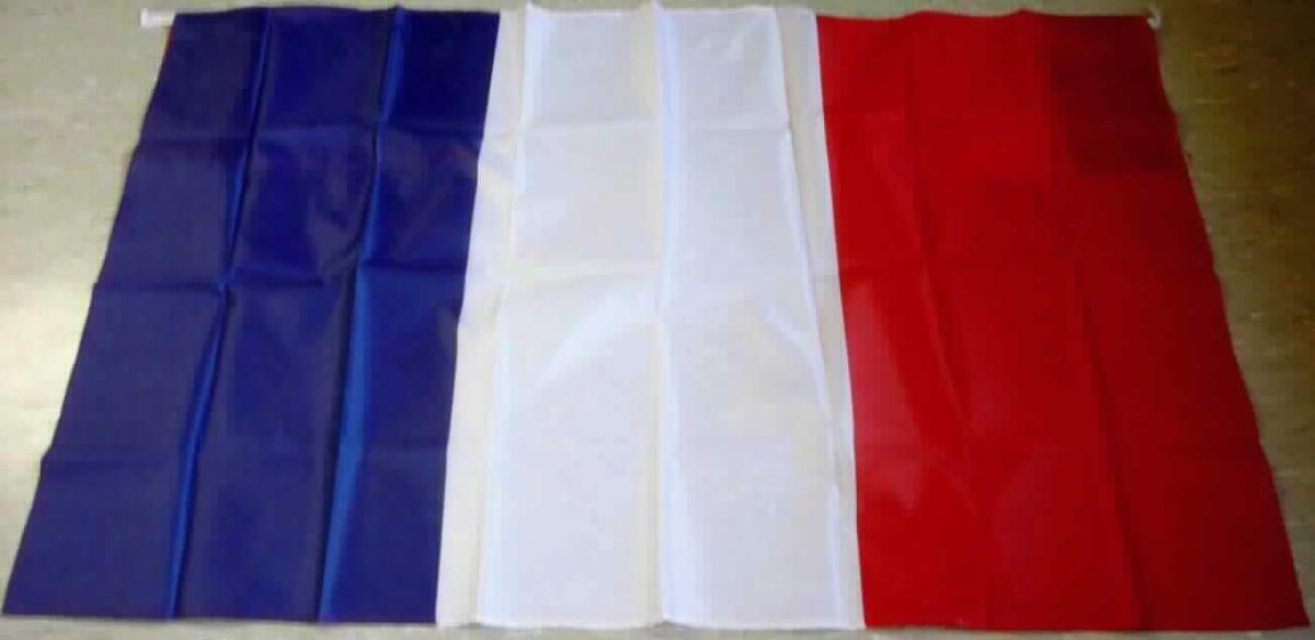 Andere Kleidung, sog. Fanumhang, Frankreichflagge, Foto siehe Anlage, 
- in einer Polyhülle mit Pappaufhänger verpackt, 
- aus einfarbigen (weiß), teilweise buntbedruckten (blau-rot) Geweben aus laut Antrag 100 % Polyester 
  (synthetische Chemiefasern), 
- rechteckig, laut Antrag in den Abmessungen von ca. 87 cm x 150 cm, 
- im oberen Bereich einer Längseite mit aufgenähten Zuschnitten aus den o. g. Geweben in der Art von Ärmeln 
  sowie zusätzlich an den "Ärmelenden" mit Halteschlaufen aus einfarbigen Geweben, die über die Daumen 
  gezogen werden, 
- in getragenem Zustand nur die Schultern, die Arme, den Rücken und das Gesäß bedeckend (Rückenlänge in 
  getragenem Zustand: ca. 86 cm), 
- ohne Vorderteil, u. a. daher kein den Umhängen ähnliches Kleidungsstück der Position 6202, 
- ohne Hinweise auf den Trägerkreis (unisex), 
- an den Rändern durch Umschlagen und Festnähen gesäumt, 
- kennzeichnet sich u. a. aufgrund der Ausstattung ("Ärmel") nicht als Ware (Flagge) der Position 6307, 
- stellt sich nicht als individuelles Einzelstück dar, das die Kleidung ergänzt, damit kein Bekleidungszubehör der 
  Position 6217.

"Kleidung, andere als in den Positionen 6201 bis 6210 und in den Unterpositionen 6211 11 bis 6211 20 
 genannte, aus Geweben, für Frauen, aus Chemiefasern, andere als in den Unterpositionen 6211 4310 
 bis 6211 4342 genannte"
