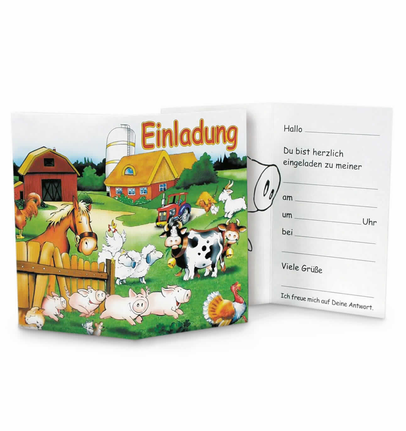Bei der Ware handelt es sich nach den Angaben der Antragstellerin sowie nach erfolgter Internetrecherche um sechs Klappkarten aus Pappe (Format etwa 16,0 x 14,0 cm, einmal auf etwa 8,0 x 14,0 cm gefalzt). Auf den Außenseiten sind die Karten mit dem Wort "Einladung" sowie der kindgerechten Abbildung eines Bauernhofszenarios bedruckt. Die Innenseiten sind mit der Strichzeichnung eines Schweins sowie mit einer handschriftlich noch zu vervollständigenden Einladung mit vorgedruckten Schlagworten und Schreiblinien zum Eintragen der Einladungsdetails (z. B. Anlass, Datum, Uhrzeit) bedruckt. Die Karte ist zu sechs Stück in einem Beutel verpackt.

Abbildung siehe Anlage.

Derartige Waren gehören als "bedruckte Karten mit persönlichen Mitteilungen, auch illustriert" zur Codenummer 4909 00 00 00 0 des Zolltarifs.