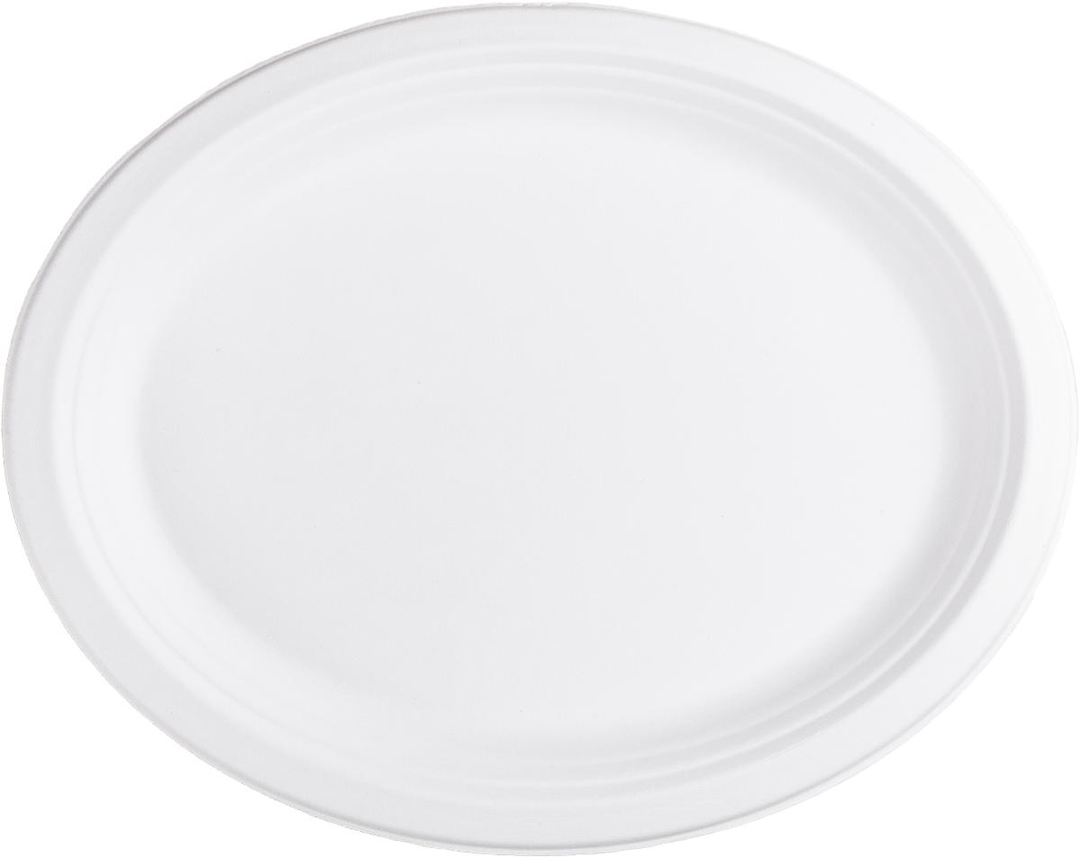 Es handelt sich um formgepresste ovale Platten mit  leicht hochgezogenen Rändern aus Bagasse (Zuckerrohrabfälle) mit den Abmessungen von 32 x 25 cm. Die Servierplatten sind zum einmaligen Gebrauch bestimmt und zu 3 Stück in Kunststofffolie verpackt.

Abbildung siehe Anlage.

Derartige Waren gehören als "andere Waren aus Pappe, Tabletts, Schüsseln und Teller, aus anderem Halbstoff als aus Bambus" zum TARIC-Code 4823 69 10 00.
