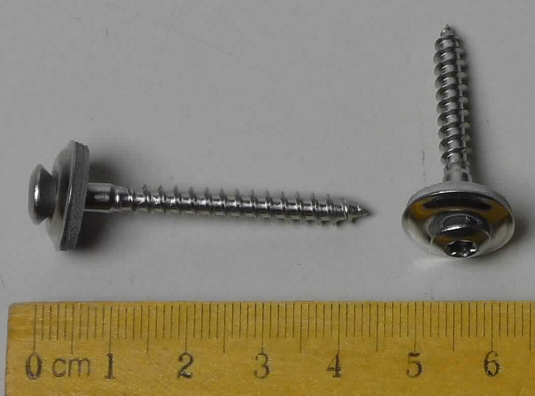 Es handelt sich um aus nicht rostendem Stahl gefertigte Schrauben in verschiedenen Größen, mit Linsensenkkopf mit Innensechsrund (sog. Torx, geschützte Marke) und mit einem nicht bis zum Kopf reichenden Gewinde, das sich das Gegengewinde selbst formt. Das Gewindeende ist zu einer Spitze ausgearbeitet.
Unterhalb des Kopfes sind die Erzeugnisse mit einer unverlierbaren, beweglichen Unterlegscheibe aus nicht rostendem Stahl mit unterseitig fest montierter Dichtung aus nicht metallischen Stoffen ausgestattet.
Abmessungen: 4,5 x 35 mm und 4,5 x 45 mm
- Antragstellerangaben -

Abbildung siehe Anlage.

Derartige Erzeugnisse gehören als "gewindeformende Schrauben aus nicht rostendem Stahl" zum TARIC-Code 7318 1410 90.