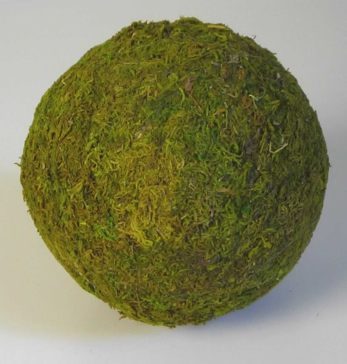 "Mooskugel, Art. 84253"
- kugelförmiger Korpus aus Styropor (lt. Antragsteller) ohne eigene Zierwirkung, vollständig bedeckt mit
  getrocknetem Moos mit Spinnstofffaden umwickelt, ca. 15 cm Durchmesser,
- verpackt in einem Kunststoffbeutel,
- wird üblicherweise vom Blumenhandel zu Zierzwecken geliefert.
(Abbildung siehe Anlage)

Der Charakter des Ganzen wird hinsichtlich der Bedeutung für die Verwendung (Zierwirkung) und des Umfangs durch das Moos bestimmt.
  
"Moose zu Binde- oder Zierzwecken, getrocknet, keine Rentierflechte (zusammengesetze Ware aus Moos -charakterbestimmend- und Kunststoff)"