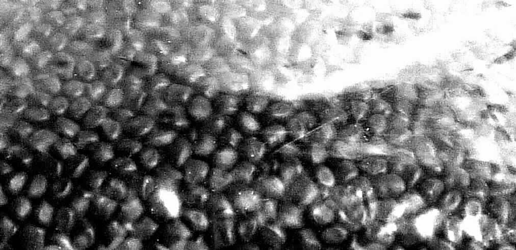Angaben des Antragstellers:
Thermoplastisches Vulkanisat (TPV) 
-Mischung aus verschiedenen Polyolefinen-

Untersuchungsergebnisse an einem Warenmuster:
Schwarzes Granulat, welches die Eigenschaften eines nicht vulkanisierten, synthetischen Kautschuks aufweist.

Befund:
Es liegt eine Kautschukmischung mit Zusatz von Ruß im Sinne der Position 4005 vor.