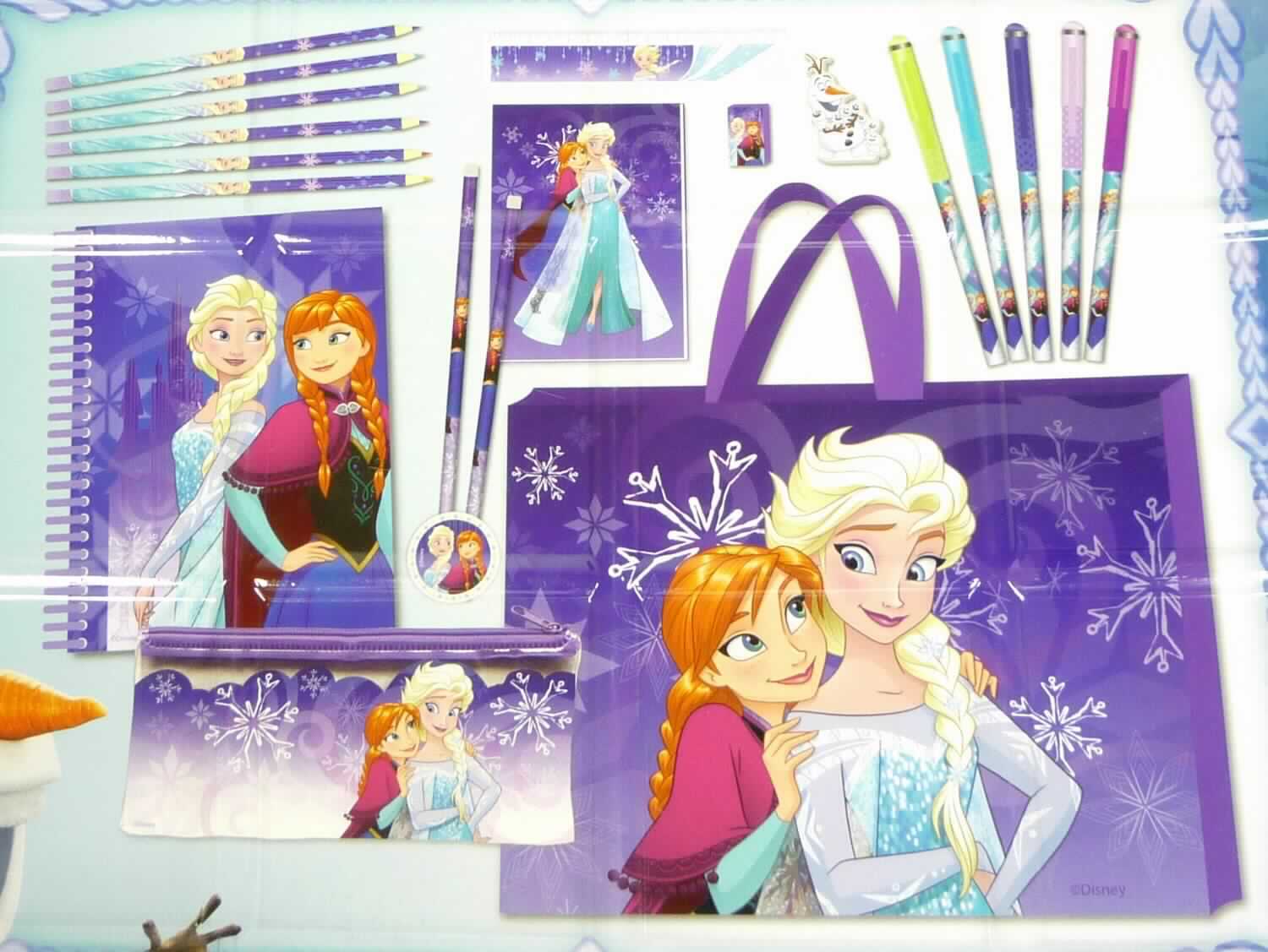 Es handelt sich bei denen als "Gel Pens" bezeichneten Waren um fünf Kugelschreiber in den Farben violett, blau (jeweils in zwei Varianten) und neongrün. Im Wesentlichen bestehend sie aus einem mehrteiligen, runden Kunststoffgehäuse (Länge ca. 15,0 cm) mit abnehmbarer Schutzkappe, das eine Tintenmine mit Kugel am Schreibende umschließt. Die auswechselbaren Minen der Erzeugnisse beinhalten farbige, flüssige Tinte. 
Der hintere Teil des Gelschreibers ist mit einem Disney Frozen Motiv versehen. 

Die Ware ist in einer klarsichtigen Kunststoffverpackung und einer Pappaufmachung mit Inhaltsangabe, gemeinsam mit anderen Waren (Notizbuch A6, Notizbuch A 5, Radiergummi, Etui, Kunststofftasche, Bleistifte, Lineal, Farbstifte, Bleistiftanspitzer (nicht Bestandteil dieser VZTA)) verpackt.

Die Waren sind als "Kugelschreiber, mit flüssiger Tinte" einzureihen.