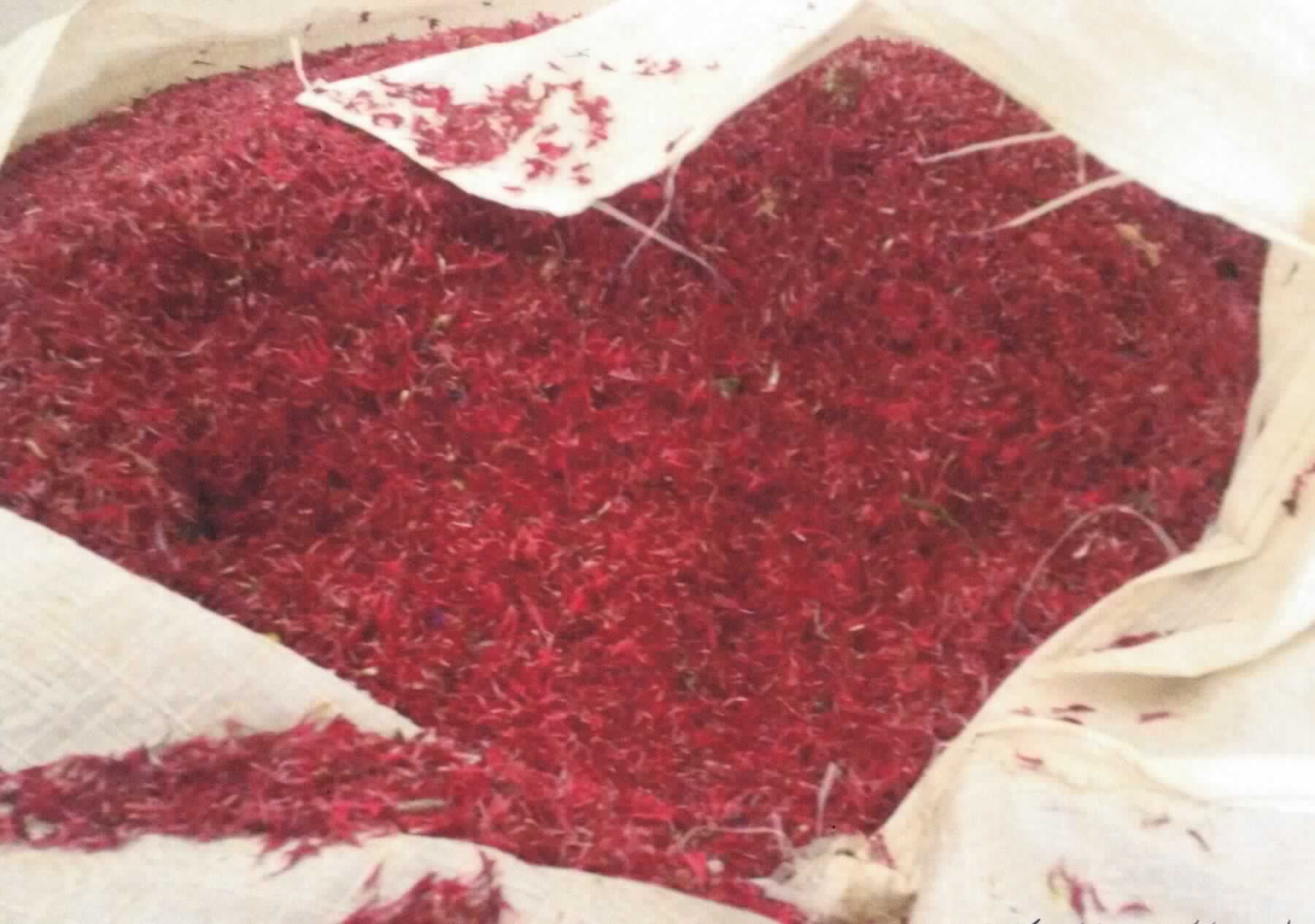 Nach den Angaben der Antragstellerin handelt es sich bei der als Kornblumenblüten bezeichneten Ware um getrocknete, überwiegend rote Blütenblätter von Pflanzen der Art Centaurea cyanus (Kornblume, Asteraceae).

Zolltarifrechtlich handelt es sich um eine "Andere pflanzliche Ware der hauptsächlich zur menschlichen Ernährung verwendeten Art, anderweit weder genannt noch inbegriffen, andere als in den Codenummern 1212 2100 00 0 bis 1212 9995 10 0 genannt; hier: Kornblumenblüten (Art Centaurea cyanus)".