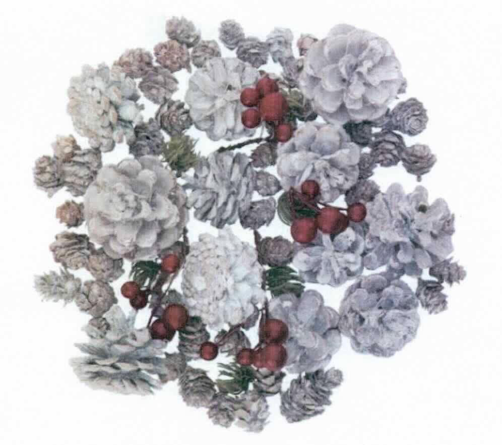 "Natur-Mix-Set "Weihnachten", Art. 85748"
- Warenzusammenstellung aus einer Vielzahl getrockneter und weitergehend bearbeiteter (weiß gefärbt), großer 
  und kleiner Zapfen (Pflanzenteilen), vier Bündeln künstlicher Früchte (rote Beeren) und Nadelzweigen aus 
  Kunststoff,
- gemeinsam verpackt in einer Stülpdeckelschachtel mit klarsichtigem Deckel,
- wird üblicherweise vom Blumenhandel zu Zierzwecken geliefert (kein Festartikel der Pos. 9505, da ohne Bezug 
  zu einem bestimmten festlichen Anlass).
(Abbildung siehe Anlage)

Der Charakter der Warenzusammenstellung wird hinsichtlich der Menge und der Bedeutung für die Verwendung (Zierwirkung) durch die getrockneten Pflanzenteile bestimmt.

"Pflanzenteile, ohne Blüten und Blütenknospen, zu Binde- oder Zierzwecken, getrocknet und weitergehend 
bearbeitet, keine Moose oder Flechten (Warenzusammenstellung in Aufmachung für den Einzelverkauf aus Pflanzenteilen - charakterbestimmend-, künstlichen Früchten und Nadelzweigen aus Kunststoff)"
