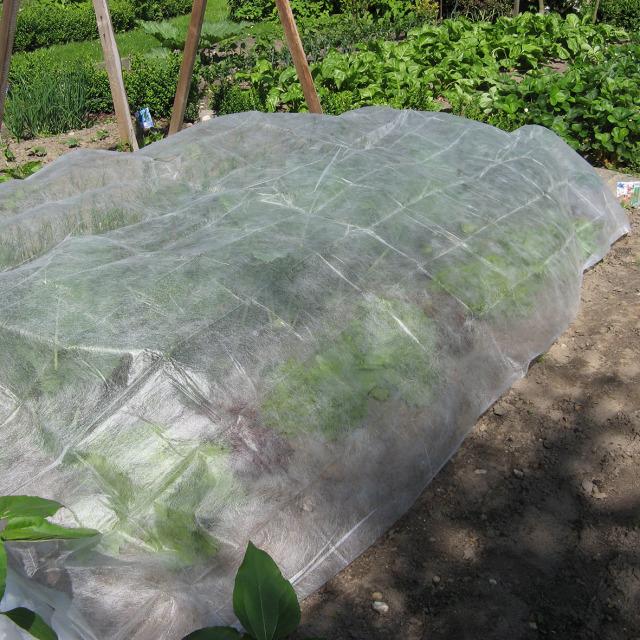 Vliesstoff, sog. Frühbeet-Vlies, Art. FLOR80230, Foto siehe Anlage,
- in einem Polybeutel mit Reiter verpackt,
- rechteckig, mit den Abmessungen von laut Antrag 5 m x 1,5 m,
- aus synthetischen Filamenten (laut Antrag Polypropylen),
- punktuell thermisch verfestigt,
- kein melt blown,
- weder bestrichen noch überzogen,
- einlagig
- mit einem Quadratmetergewicht von laut Antrag 30 g,
- stellt sich als Vliesstoff dar, somit keine Ware der Position 3920.

"Vliesstoff, aus synthetischen Filamenten, mit einem Quadratmetergewicht von mehr als 25 g bis 70 g,
 weder bestrichen noch überzogen, anderer als in den Unterpositionen 5603 1290 10 bis 5603 1290 60
 genannte"