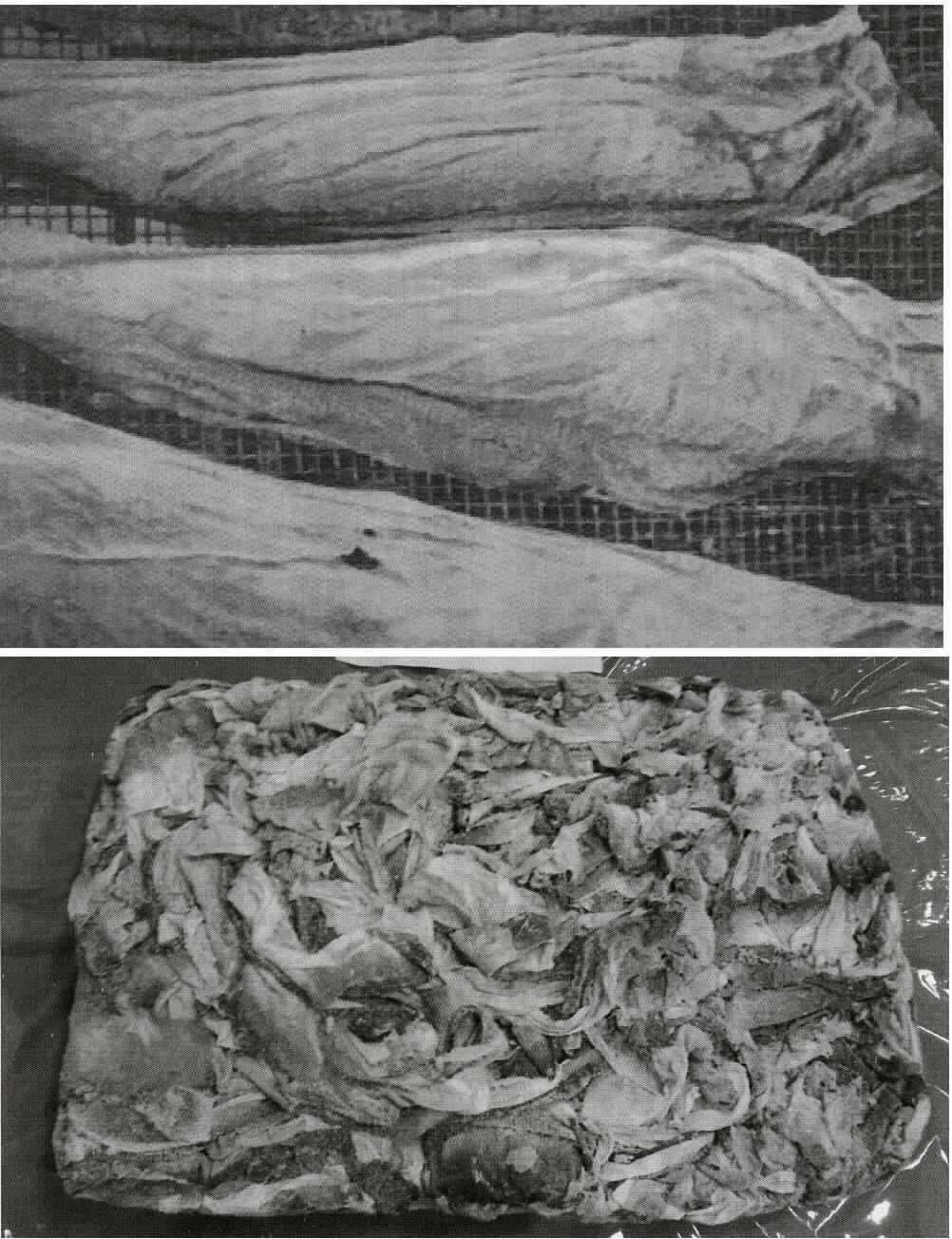 Andere rohe Häute, sog. gefrorene Fischhäute (Warenmuster wurden nicht vorgelegt, die Einreihung
erfolgt aufgrund der Antragsangaben),
- gefrorene Fischhäute,
- nach dem Waschen und der Entfernung des Wassers gefroren und in Fischblöcke geformt,
- nicht genießbar (nicht zur menschlichen Ernährung geeignet), somit keine Waren des Kapitels 3,
- nicht in Form von Schnitzeln oder ähnlichen Abfällen, somit keine Waren der Position 0511.

"Andere rohe Häute (frisch)"