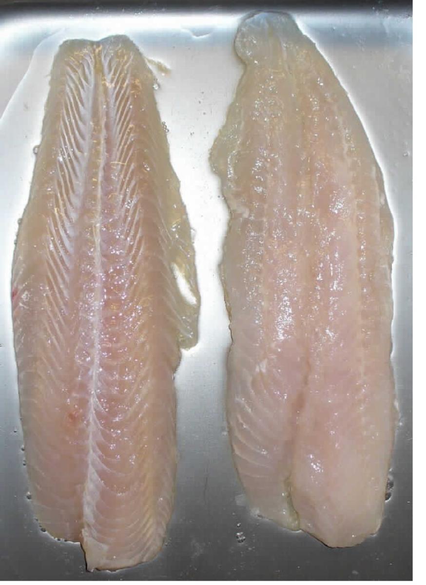 Nach den Antragsangaben handelt es sich um tiefgefrorene, glasierte, rohe Fischfilets von Welsen der Pangasius-Arten (Pangasius spp.) aus Aquakultur (Pangasius 69 %, Wasser, Stabilisatoren E451, E452, Salz), die in verschweißten Kunststoffbeuteln verpackt sind (Verpackungsangabe: Inhalt 1000 g netto, Abtropfgewicht 800 g). Nach ergänzenden Antragsangaben wird die langfristige Haltbarmachung der Fischfilets durch das Tiefgefrieren gewährleistet (somit keine Einreihung in Position 0305).

Zolltarifrechtlich handelt es sich um " Fischfilets, gefroren, von Welsen (Pangasius spp.)".