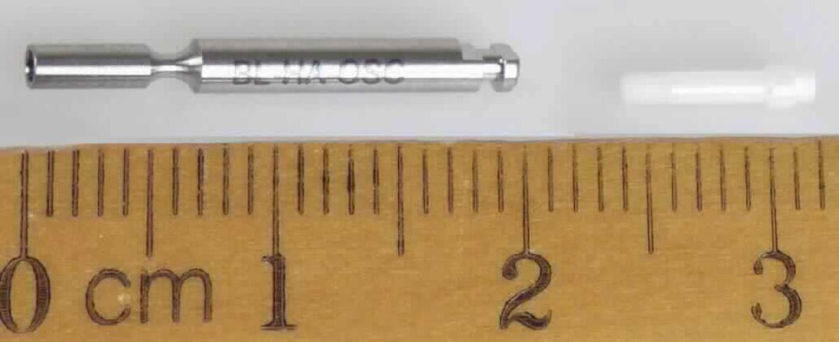 Sog. Basisschrauben (Ref. BL-OSC-H), in Form einer der Durchführung einer zahnmedizinischen Behandlung dienenden Warenzusammenstellung in Aufmachung für den Einzelverkauf, bestehend aus 
- einer im Hinblick auf die Bedeutung für die Verwendung charakterbestimmenden, ca. 8 mm langen, medizinischen Implantatschraube aus Keramik (Zirkonoxid), mit Zylinderkopf sowie darüber befindlichem Außensechskant und einem zylindrischen Schaft mit einem ca. 2 mm langen, nicht bis zum Kopf reichenden Gewinde und
- einem spezifisch geformten ca. 21 mm langen, zahnmedizinischen Instrument aus Titan mit Innensechskant zum Festziehen der Keramikschraube.
Die Basisschraube dient im Rahmen einer zahnmedizinischen Behandlung der dauerhaften Befestigung eines Sekundärelements (Abutment oder Brückenelement) auf einem Zahnwurzelimplantat (jeweils nicht Gegenstand dieser vZTA-Entscheidung) (äußere Form siehe Abbildung in der Anlage).
Die Bestandteile der Warenzusammenstellung sind jeweils in einem Kunststoffröhrchen gemeinsam in einer Kunststofftüte verpackt. 
Die Ware wird als "Teil, erkennbar hauptsächlich für eine Ware der Zahnprothetik bestimmt" eingereiht.