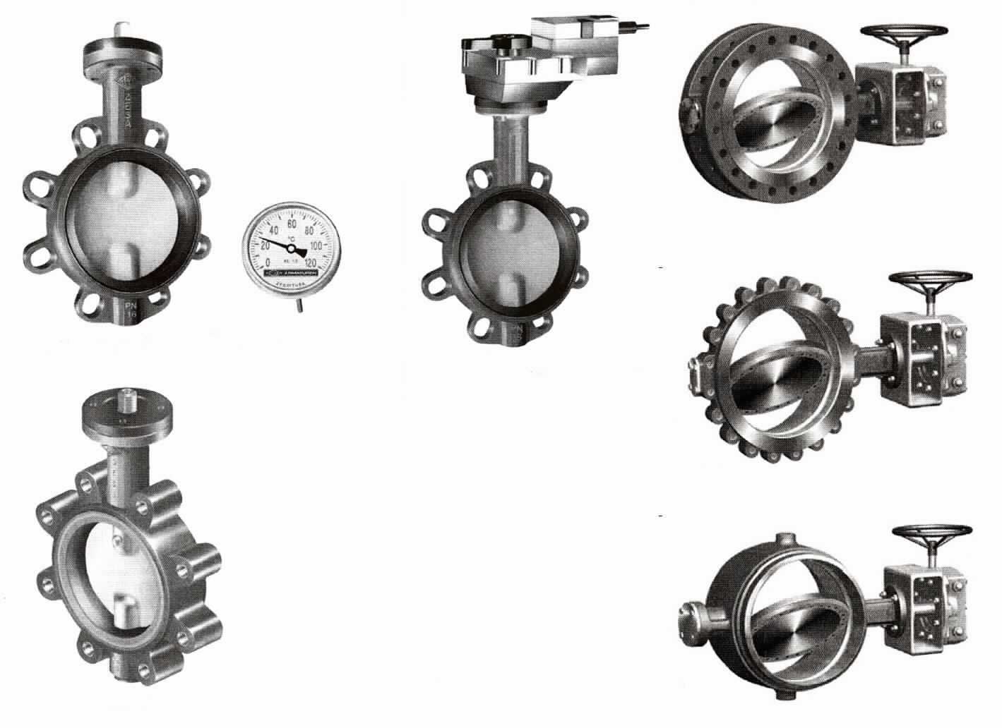 Bei den sog. "div. Absperrklappen"  handelt es sich um motor- (elektrisch, pneumatisch, hydraulisch) oder handbetätigte Klappen, im Wesentlichen bestehend aus einem runden Gehäuse mit einer Aufnahmevorrichtung für die runde Klappe, die je nach Ausführung senkrecht oder waagerecht angebracht ist. Sie werden in Rohrleitungen zur Regelung der durchfließenden gasförmigen oder flüssigen Medien angebracht. Der Anschluss der Klappen kann durch Doppelflansch-, Gewindeflansch- oder Schweißenden-ausführung erfolgen. Die Abmessungen der Klappen sind variabel, die eingesetzten Materialen reichen von Stahlguss, Edelstahl zu Sphäroguss. Die Klappen können metalldichtend oder weichdichtend sein.

Die Ware wird als "Armatur für Rohr- und Schlauchleitungen, nicht von den Unterpositionen 8481 10 bis 8481 8081 erfasst, Klappe, nicht für bestimmte Luftfahrzeuge, nicht als Abgasklappen zur Verwendung bei der Herstellung von Abgasanlagen für Motorräder verwendet" eingereiht.