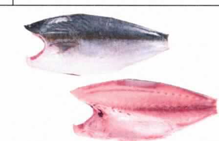 Nach den Angaben der Antragstellerin handelt es sich um rohes, tiefgefrorenes Fischfleisch mit Haut von Seefischen der Art Seriola quinqueradiata (Japanische Seriola), wobei der Kopf, die Eingeweide und nur teilweise die Flossen (Brust- und Bauchflossen noch vorhanden) entfernt wurden. Die Knochen im Bereich direkt hinter dem Kopf sind noch vorhanden (zolltarifrechtlich kein Fischfilet oder anderes Fischfleisch der Position 0304).
Das Fischfleisch ist mit Absorberpapier vakuumverpackt (Inhalt ca. 1,5 - 1,9 kg).

Zolltarifrechtlich handelt es sich um rohe gefrorene Seefische der Art Seriola quinqueradiata, kein Fischfilet oder anderes Fischfleisch der Position 0304.