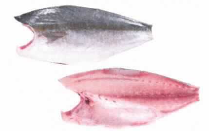 Nach den Angaben der Antragstellerin und den ergänzenden Unterlagen handelt es sich um rohes, tiefgefrorenes Fischfleisch mit Haut von Seefischen der Art Seriola lalandi, wobei der Kopf, die Eingeweide und nur teilweise die Flossen (Brust- und Bauchflossen noch vorhanden) entfernt wurden. Die Knochen im Bereich direkt hinter dem Kopf und die Stützgräten sind noch vorhanden (zolltarifrechtlich kein Fischfilet oder anderes Fischfleisch der Position 0304).
Das Fischfleisch ist in einem Polybeutel vakuumverpackt (Inhalt ca. 1,3 kg).

Zolltarifrechtlich handelt es sich um rohe gefrorene Seefische der Art Seriola lalandi, kein Fischfilet oder anderes Fischfleisch der Position 0304.