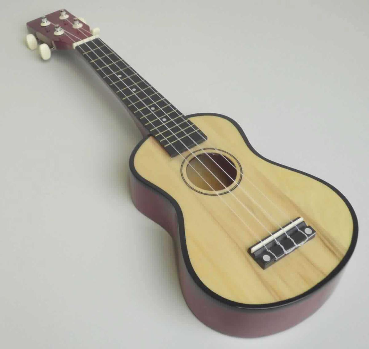 Bei der sog. Ukulele handelt es sich um ein gitarrenartiges Zupfinstrument. Die Ukulele hat eine Gesamtlänge von ca. 54,5 cm, besteht aus Holz und ist mit 4 Saiten aus Kunststoff bespannt. Bei der Ukulele werden die Schwingungen der Saiten entweder durch ein kurzes Abziehen der Saiten aus ihrer geraden Richtung mit den Fingern oder mit Hilfe eines Plektrons erzeugt.

Die Ukulele stellt sich als funktionsfähiges Musikinstrument dar, dient dem Musizieren und ist gemeinsam mit einem Plektron aus Kunststoff in einem bunt bedruckten Pappkarton verpackt. 

Die Ware ist als "anderes Saiteninstrument, kein Streichinstrument, Zupfinstrument in Form einer Gitarre (Ukulele)" einzureihen.