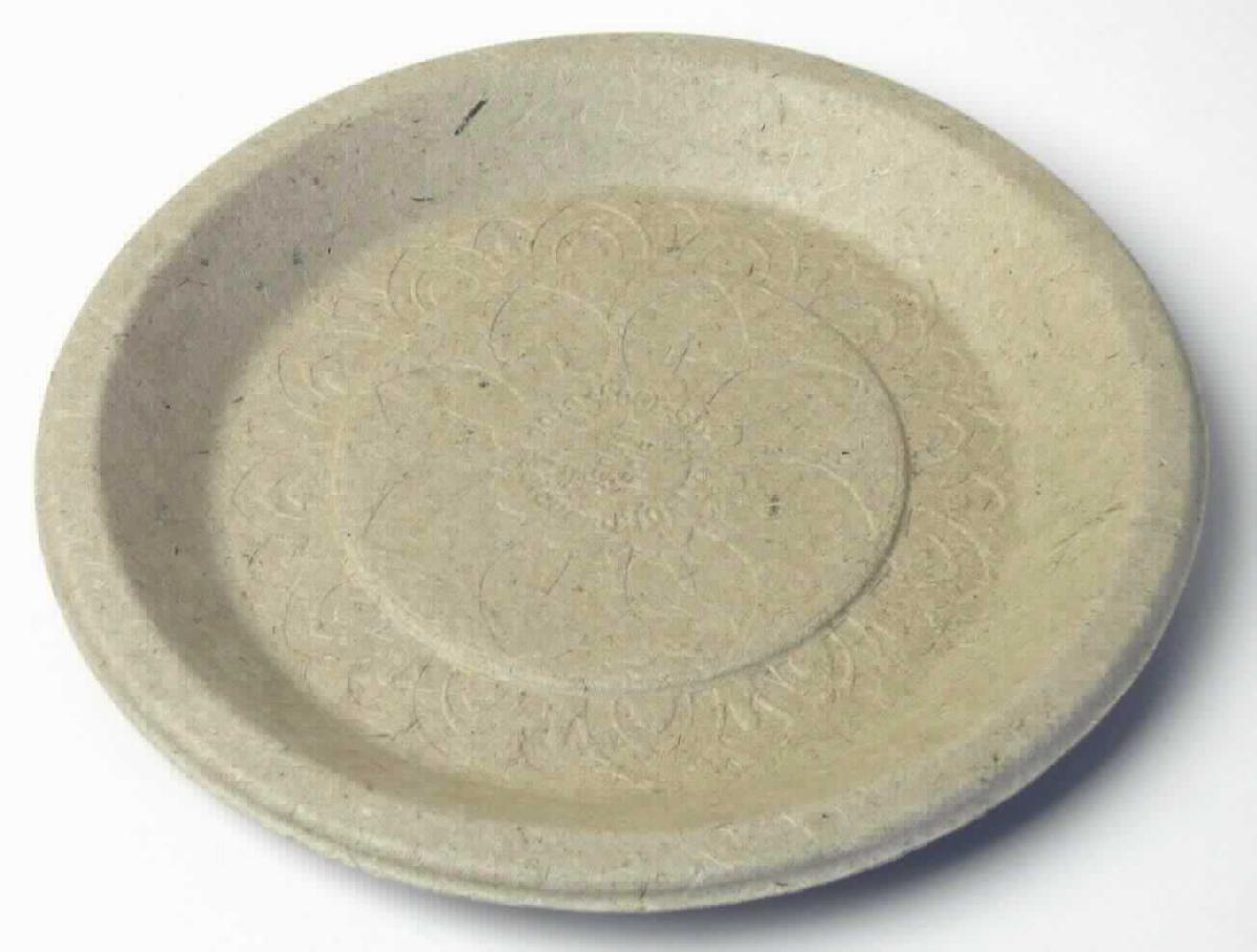 Es handelt sich um einen braunen, kreisrunden, formgepressten Teller mit leicht hochgezogenem Rand (Durchmesser: etwa 17,3 cm, Höhe: etwa 1 cm) aus Fasern aus überwiegend Bagasse (Zuckerrohr) und der Sporsachse der Banane (lt. Antragstellerin). Auf der Außenseite ist deutlich ein Siebmuster erkennbar, die Innenseite ist glatt und mit einer Prägung versehen.

Abbildung siehe Anlage.

Derartige Waren gehören als "formgepresste Waren aus Papierhalbstoff, andere als Höckerpappe und Kleinverpackungen für Eier" zur Codenummer 4823 70 90 00 0 des Zolltarifs, da es sich zolltarifrechtlich um eine aus verschiedenen Stoffen zusammengesetzte Waren handelt, deren wesentlicher Charakter nach dem Umfang durch die Bagasse bestimmt wird.