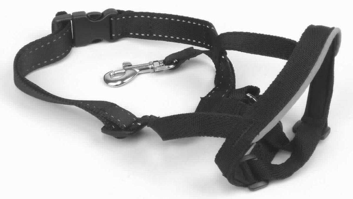 Sattlerware für Tiere, sog. Halti Kopfhalfter schwarz, Größe 2, Fotos siehe Anlage,
- Halfter aus Riemen aus Spinnstoffen,
- - mit einem seitlich verlaufenden, längenverstellbaren Riemen,
- - mit einem gepolsterten Nasenriemen, der durch eine Öse geführt ist und mittels einer Verlängerung 
    mit Karabinerhaken an einer Hundeleine befestigt wird,
- schließt den Kiefer eines Hundes bei starkem Zug an der Hundeleine; dient damit als Erziehungshilfe, 
- in einem bedruckten Pappkarton verpackt. 

"Sattlerware für alle Tiere (Halfter), aus Stoffen aller Art"