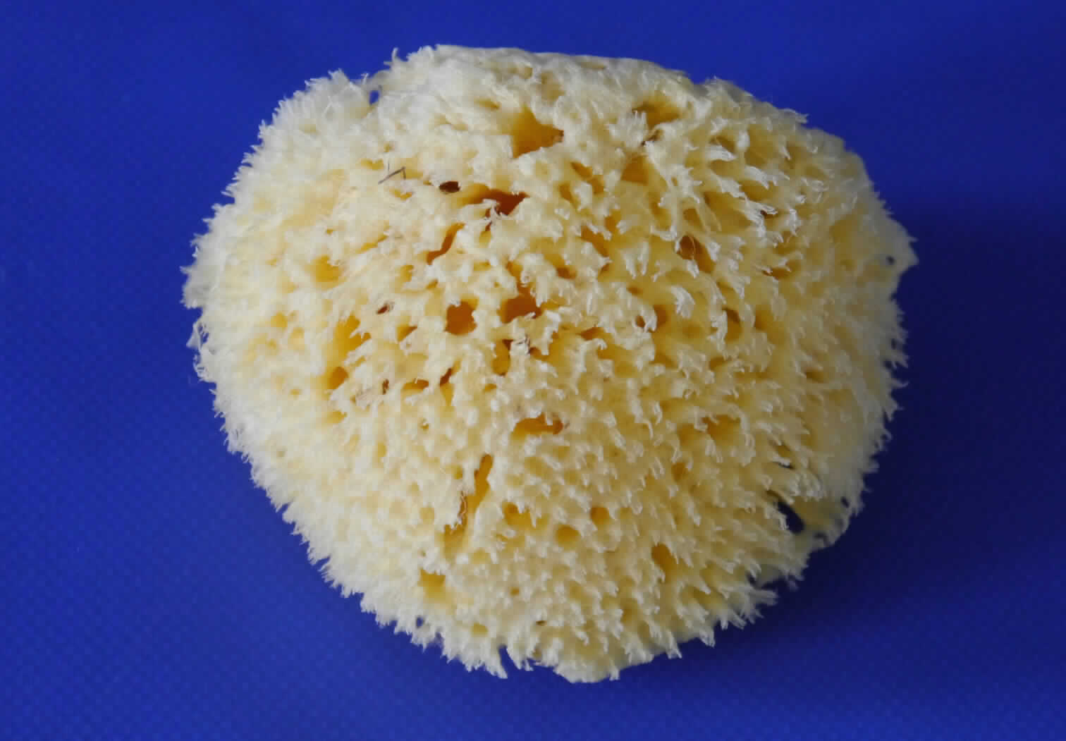 Es handelt sich um ein Set, bestehend aus sieben in einem Karton verpackten Waren: eine Wickelauflage, ein Kapuzenbadetuch, vier Waschlappen, ein Bade-Thermometer, ein Mittelmeerschwamm (Naturschwamm), ein Baby-Kamm und eine Baby-Bürste.  
Die Waren dienen weder der Befriedigung eines speziellen Bedarfs noch der Ausübung einer bestimmten Tätigkeit und stellen sich somit nicht als Warenzusammenstellung i. S. d. AV 3 b) dar. Sie sind getrennt einzureihen.

Bei dem sog. Mittelmeerschwamm, Art-Nr. 20438 0099 01 handelt es sich lt.  AStin um einen natürlichen Schwamm aus dem Mittelmeer. Das gelbe, nahezu halbkugelförmige Erzeugnis (d: ca. 9 cm) wurde getrocknet, zugeschnitten und gebleicht. 

Die Ware wird bei der Körperpflege verwendet (z. B. beim Baden von Erwachsenen und Kindern) und ist in einer transparenten Kunststofftüte verpackt.

Sie ist als "Waren tierischen Ursprungs, anderweit weder genannt noch inbegriffen, natürliche Schwämme tierischen Ursprungs, nicht roh" einzureihen.