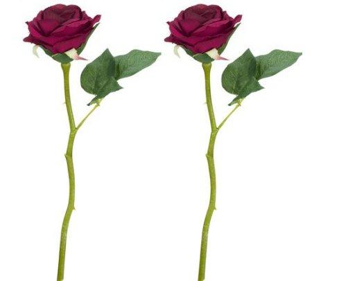 Künstliche Blumen, sog. Rosen, Foto siehe Anlage,
- mit Blüten- und Kelchblättern aus Zuschnitten aus Spinnstoffgeweben,
- mit einem Stiel und Blattadern aus Kunststoff,
- mit Laubblättern aus Zuschnitten aus Spinnstoffgeweben und Blattadern aus Kunststoff,
- die einzelnen Elemente der künstlichen Blume sind durch In- bzw. Aufeinanderstecken und
  Kleben (Blumenbindetechniken) miteinander verbunden,
- mit einer Länge von 30 cm und einem Durchmesser der Blüte von ca. 9 cm,
- die Elemente aus Spinnstoff (Blätter) bestimmen im Hinblick auf das Erscheinungsbild den
  wesentlichen Charakter der Waren,
- als Set mit zwei Stück in einem klarsichtigem Polybeutel verpackt.

"Künstliche Blumen, aus Spinnstoff"